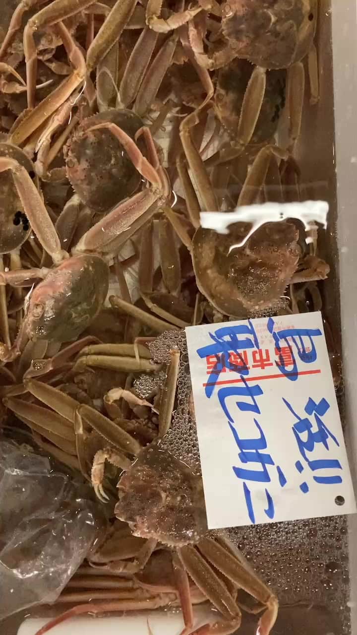 のインスタグラム：「活セコガニも来たぞ💥💥💥」