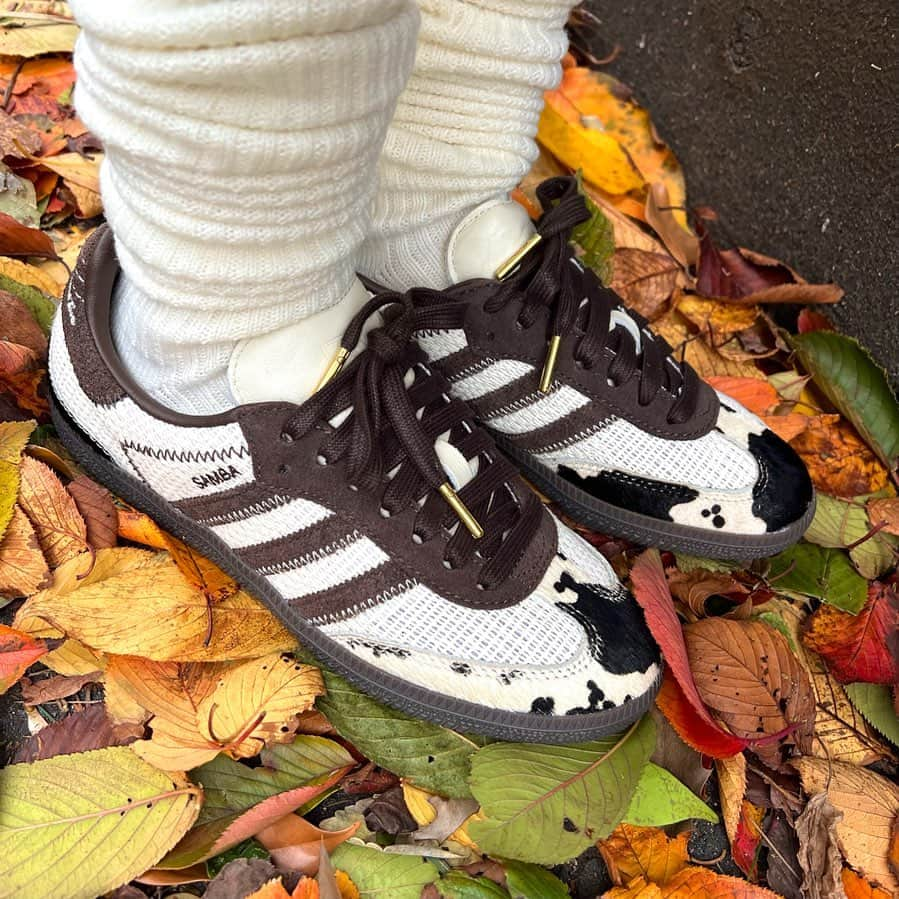 川村文乃さんのインスタグラム写真 - (川村文乃Instagram)「🐄🍂  #ANGERME#アンジュルム#川村文乃 #Notitle#adidasSamba」11月11日 16時18分 - ayano_kawamura.official