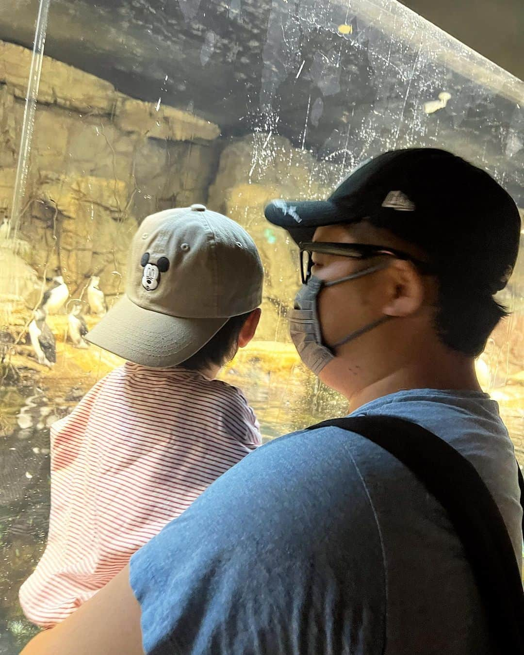 ンダホさんのインスタグラム写真 - (ンダホInstagram)「4人家族になって初めての水族館🐟🐧 楽しすぎると写真撮るの忘れるよね笑  #葛西臨海公園 #ンダホ #ンダホんち」11月11日 16時51分 - ndaho.fischers