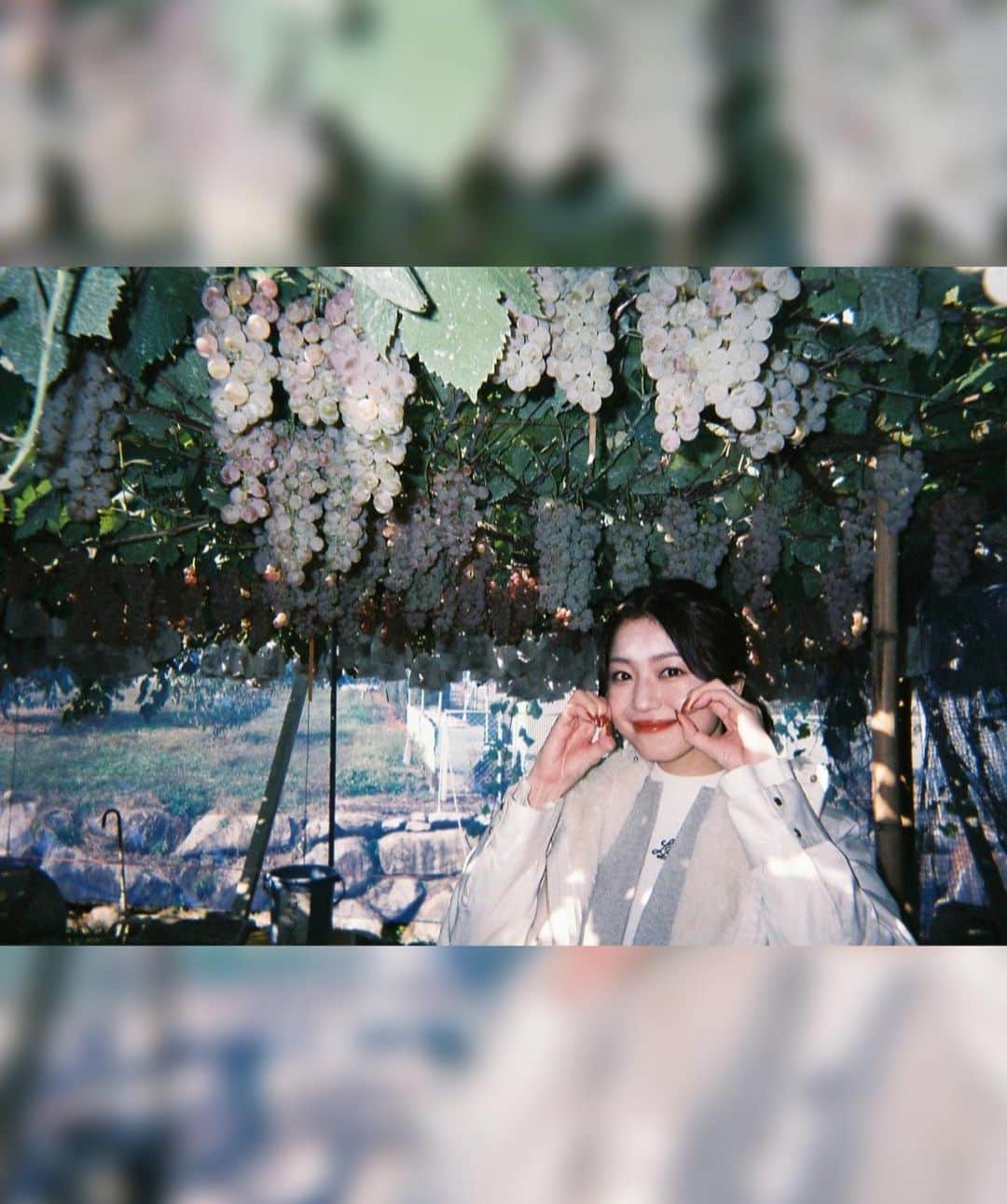中村静香さんのインスタグラム写真 - (中村静香Instagram)「旅の思い出🤍その2  現像したものと📸 好評だった衣装タグまとめ🏷️✨  今年もMCで盛り上げて下さったふーみんさん、そして毎年素敵なプランをご提案して下さるトップツアーズさん、ありがとうございました！！  なにより、お越し下さった皆様のおかげでとっても充実した二日間となりました！！本当にありがとうございました！！ 感謝を込めて🩷  #中村静香ファンツアー2023 #癒しの旅をありがとう #山梨で身も心もお腹いっぱい」11月11日 17時37分 - shizuka_nakamura_official