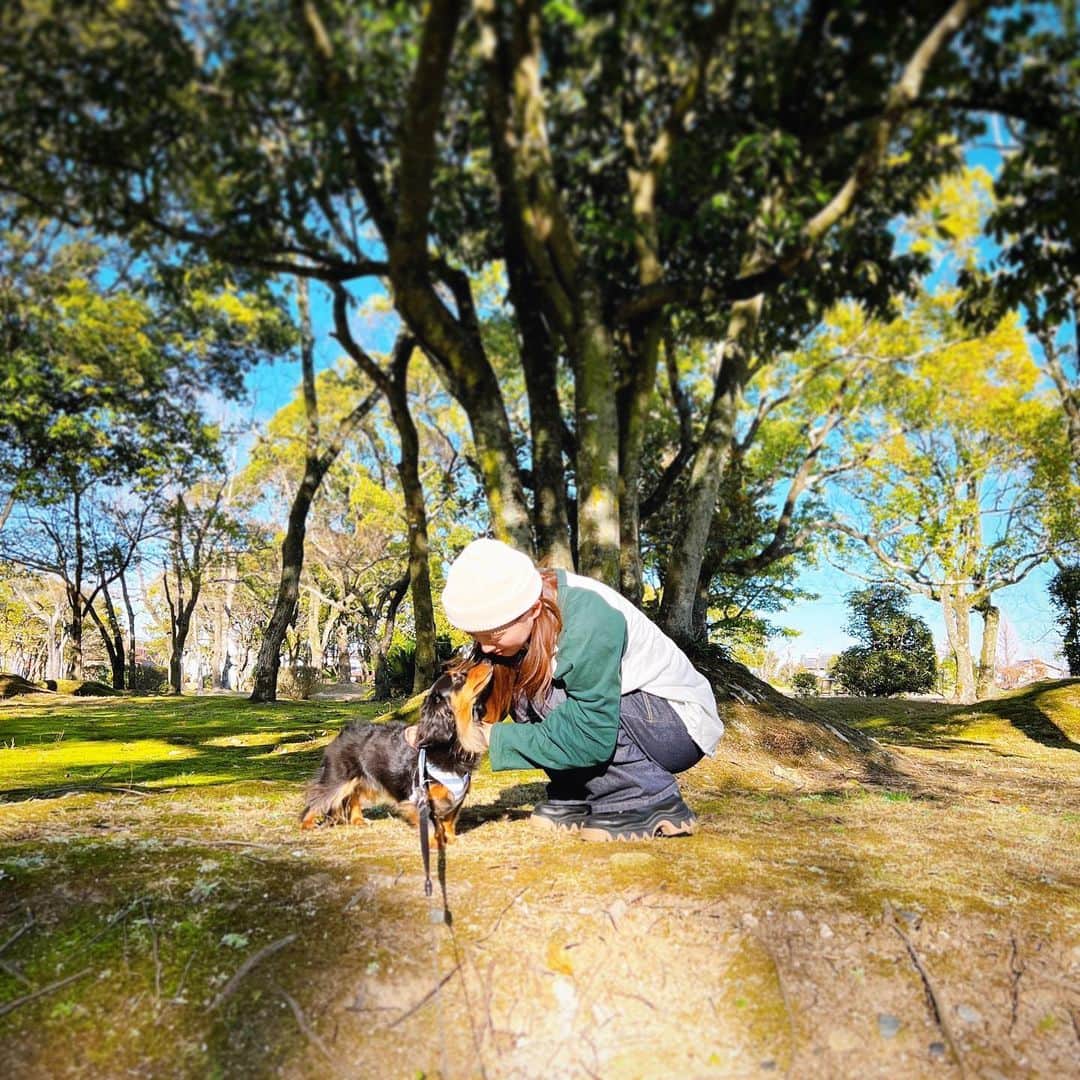 青木理奈のインスタグラム：「🍁🦁🌕」