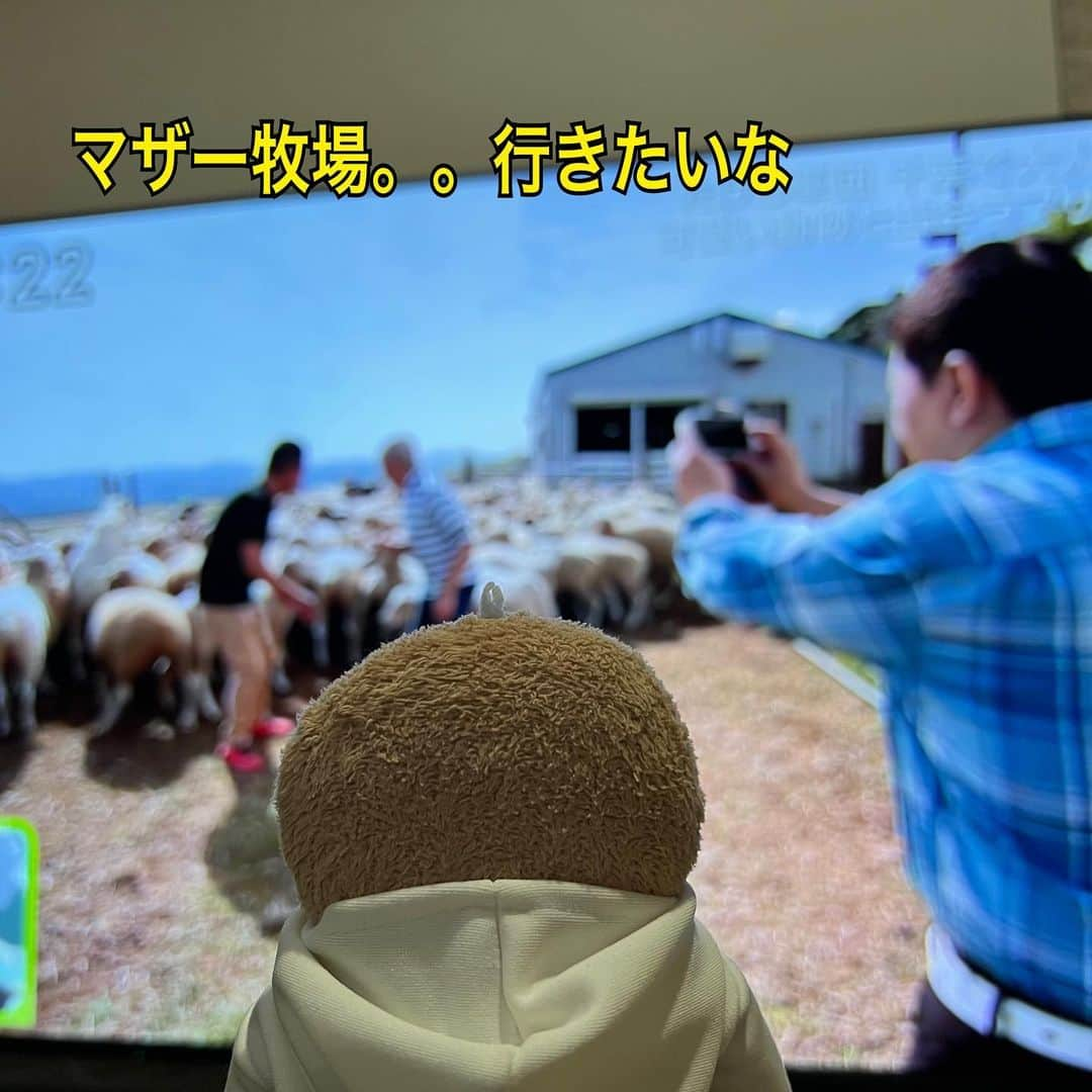 江口ともみさんのインスタグラム写真 - (江口ともみInstagram)「旅サラダ面白かったね😁  マザー牧場はさ、とおさんとかあさんがゴルフ行く時近くよく通るからさ、オラ何回も行きたいって言ってるのにいまだに連れてってくれてないんだよね🌀  かあさんは仕事で1回ちゅん太と行ったみたいだけどさ、家族で行きたいんだよね  ジップライン。。。３人の顔酷かったね😂 でもさ、多分とおさんも高所恐怖症だからもっと酷い顔になったと思うよ  あとさ、ラッシャーさんもらっきょさんも伴内さんもナレーション噛み過ぎだよね😂  でもホント軍団のおじちゃんたち自由で面白かったぁ❣️次はオラととおさんとかあさんの旅で旅サラダさん呼んでくださーい💕😁  #fumofumosan #フモフモさん #もぐたろう #朝だ生です旅サラダ #旅サラダ #たけし軍団 #たけし軍団40周年 #井手らっきょ #松尾伴内 #ラッシャー板前 #千葉の旅#マザー牧場」11月11日 10時28分 - tomomin.eguchi