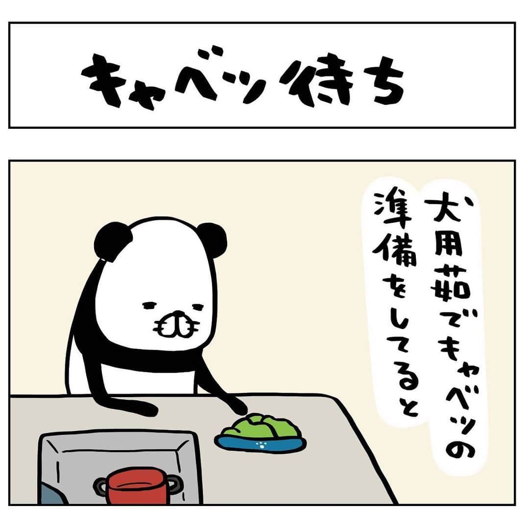 のインスタグラム：「日常4コマーぬと おすわりしがちーぬと覗き込みがちーぬ  #4コマ#パンダと犬と#犬かわいい#犬#ビーグル#スティーヴンスピルハンバーグ」