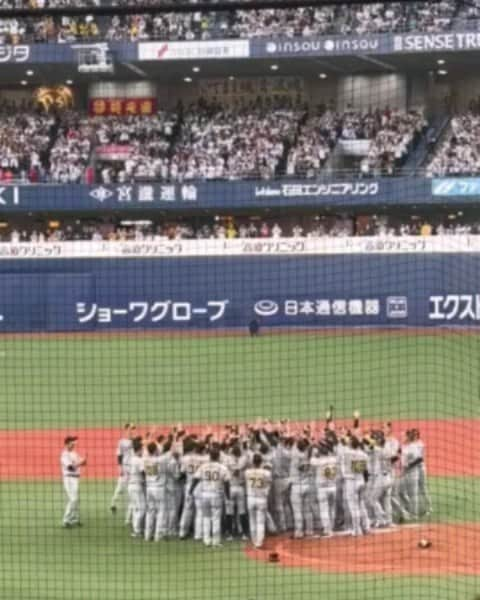 川原ちかよのインスタグラム：「阪神タイガース🐯が38年ぶりに日本一になった日⑤  6-0の展開は、予想をしておらず。 それはそれで、なんだか落ち着かない感じも😅 選手たちとそうだったように、 これまでの6試合が、本当に互角の戦いで、野球のおもしろさを改めて教えてくれる試合だったから、 ファンもお互いリスペクトの気持ちを持ってるって言うのが、 球場全体から伝わってました。  でも、こちら38年ぶり。 ちょっとなんかおかしい感じはもちろんあって(笑) トイレに並びながら、電話していて(LINE、SNSほぼ繋がらない状況)、 「渡辺謙は見つけられてへんねん！」と私が言った瞬間、 スーーーっと声が通ったのか、 近くにいた、同じく電話してたおっちゃんが、 「そやねん。渡辺謙は見つけられてへんねーん。」と なぜか私の会話に反応してた(笑)  8回の表が終わった時に、後ろの19歳が呟く。  「あと、アウト6個で日本一か。」  日本一の瞬間は、どうなるんだ！？ 「ヤバイ」「エグい」「マジか」 もはや、何がヤバくて、何がエグいのかわからんけど、　 たぶん、マジやで。  9回の裏。 マウンドには桐敷。 本当なら、桐敷→湯浅→岩崎だったのだろうけど、 桐敷がランナー出したものの、 次のバッターをダブルプレーに打ち取ったので、 いきなりの岩崎！ 初球、頓宮がホームラン⚾ まぁまぁまぁ、ここで呼吸をし直そう。  とか言ってる間に、その瞬間がやってきました。  ノイジーのスリーランホームランの時の盛り上がりから考えると、 京セラドームで、モッシュダイブが起こっても不思議じゃねー！と思っていたのですが(笑)  時代は38年前とは変わっています。　 今は2023年。 あの頃は昭和だったけど、今は令和。  阪神ベンチの真上である私達周辺は特にだったのかも知れませんが、 胴上げの瞬間を逃すものか！！と、 一斉にスマホ、カメラのスタンバイ(笑)  そっか、そやな。 私は中の人に撮影は任せ(笑) 飛んでましたが😆  あー、日本一✨これが日本一。 アレのアレ。  試合前に頼む！と言っていた2時間45分とはいかなかったけど、 セレモニーまで十分見られる時間に試合が終わり、 なんだか完璧な第7戦⚾と思いながら、歓喜の輪を見つめておりました。  MVPの発表は、ずいぶんと"ため"があったので、 糸原が笑いを取っていたり、 試合以外のいろんなシーンでも、阪神のチームワークのよさ、雰囲気のよさが表れてました。  先日、中日の大野投手が「選手の力の差もあるだろうけど、いろんなところで大差をつけられた」と言っていましたね。 四球を選ぶことも査定に繋がると言う例もあげてましたが、 やはり、もちろんプロ。 1打席ごと、1球ごと、評価に繋がるのと繋がらないのでは、 モチベーションも全然違うでしょう。  近本がMVPに選ばれ、 「三井住友銀行より100万円、 株式会社ローソンより100万円、、、」とアナウンスされていくと、 近くにいた小学生ぐらいの女の子が「近本、何百万円？？😵」と呟やいていた。 お金じゃない。 いや、お金だけじゃない。 でも、プロとして正しく、ちゃんと評価されることはとても大事。 近本はシリーズ打率4割8分。 ご褒美の700万円なんやで、とまでは言いませんでしたが😅  阪神タイガース🐯 38年ぶりの日本一‼️ これは黄金時代の幕開けだ‼️  #阪神タイガース #日本シリーズ #アレのアレ」