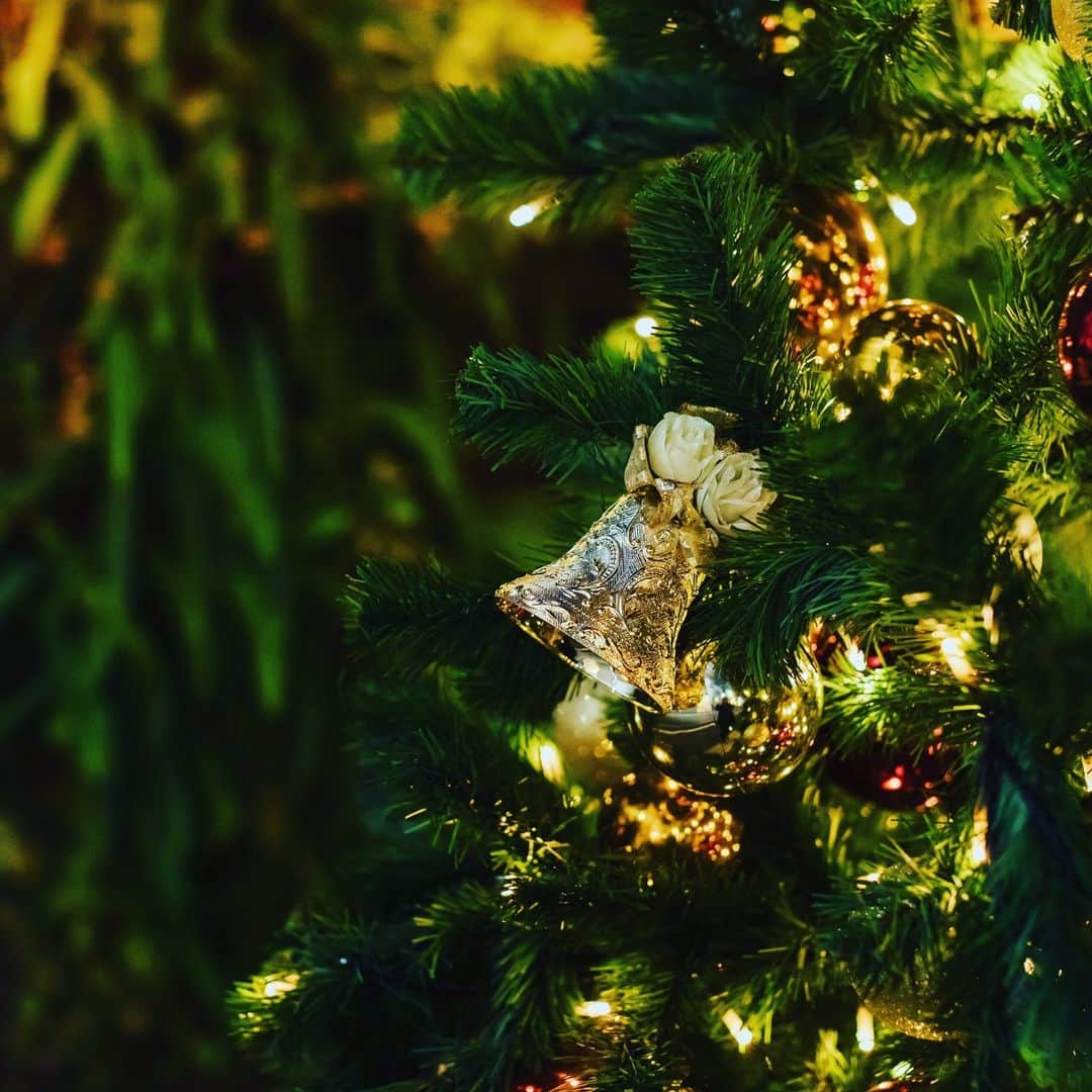 【公式】 京都セントアンドリュース教会さんのインスタグラム写真 - (【公式】 京都セントアンドリュース教会Instagram)「【2023年クリスマスイベントのご案内】 今年もこの季節がやってまいりました。 既に多数のお問合せをいただいておりましたイベントを🎄2023年12月24日(日)に開催することが決定いたしました。  ◆Lunch「要予約/先着12組」 14:00受付 14:30開始（16:30頃終了予定）  ◆Xmas mass「予約不要/参加費無料」 17:00開場 17:30開始  ◆Dinner「要予約/先着12組」 ※上記クリスマスミサにもご参加いただけます 18:00受付 18:30開始 （20:30頃終了予定）  >>>>>>>>>>>>>>>>>>>>>>>>>> 【Lunch & Dinner金額】 内容：クリスマス特別コース 大人料理：￥15,000-（1名様/税サ込） Petitコース料理（※対象中学生〜高校生）：￥5,000-（1名様/税サ込） お子様コース料理（※対象小学生）：￥3,000-（1名様/税サ込） お子様1プレート：￥0-（※対象幼児）  【ご予約方法】 参加ご希望の方はプロフィールにございますクリスマスイベント【予約専用のURL】よりお願いいたします😊 申し込みフォーム入力後に自動返信されますが【11月30日（木）17時まで】に式場からのメールにて予約確定となります旨をご了承くださいませ。 >>>>>>>>>>>>>>>>>>>>>>>>>> 当教会でおふたりで、ご家族皆さまで素敵な思い出を振り返りながらお過ごしいただけます事をスタッフ一同、楽しみにお待ちしております✨  京都セントアンドリュース教会　 スタッフ一同」11月11日 11時00分 - kyoto_st.andrews_church