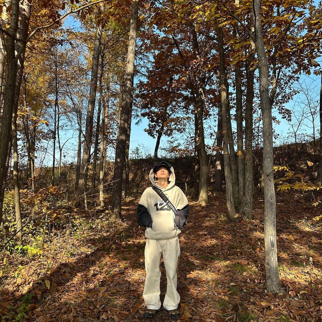 ゆうたさんのインスタグラム写真 - (ゆうたInstagram)「午前中に投稿してみる。 土曜日だけど学校とか仕事ある人頑張ってね🤝 秋っぽい写真でしょ〜  #秋好きなのに #秋花粉にやられた #秋から拒絶された🤦‍♂️」11月11日 11時09分 - com.yuta