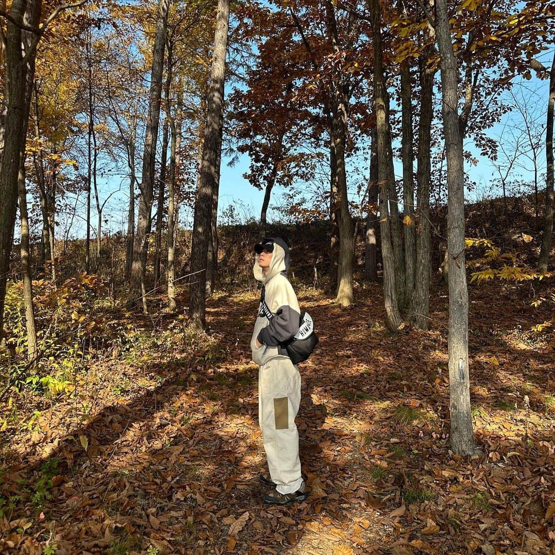 ゆうたさんのインスタグラム写真 - (ゆうたInstagram)「午前中に投稿してみる。 土曜日だけど学校とか仕事ある人頑張ってね🤝 秋っぽい写真でしょ〜  #秋好きなのに #秋花粉にやられた #秋から拒絶された🤦‍♂️」11月11日 11時09分 - com.yuta