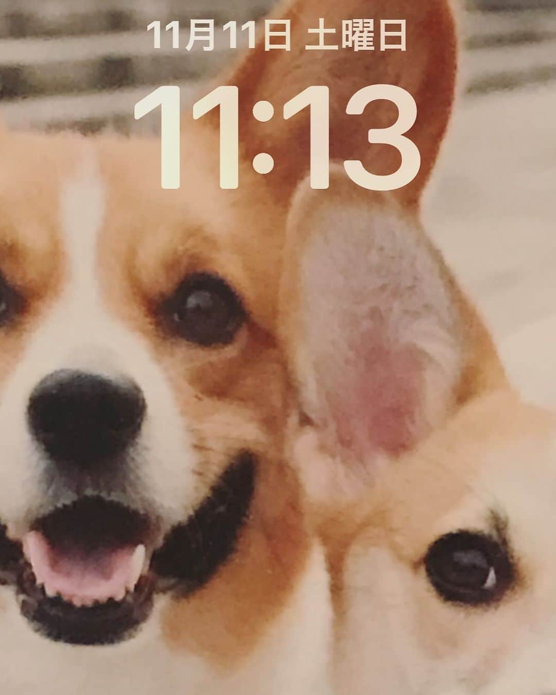 橋本志穂のインスタグラム：「11:11をみた。 ゾロ目好きな私は嬉しかった。よく考えたら11/11でもあった！ 11/11の11:11を見たの。 スクショ撮ればよかった〜💦と後悔したのは2分後でした。  #ゾロ目好き」