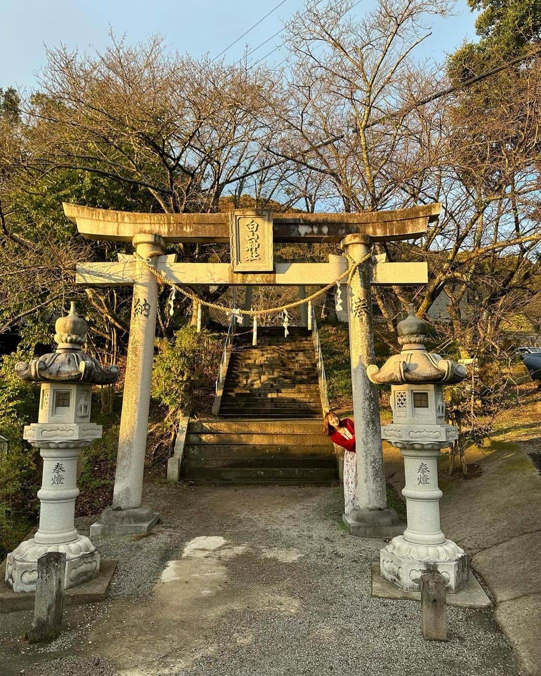 長久友紀さんのインスタグラム写真 - (長久友紀Instagram)「改めてになりますが、 香川県三木町の「獅子たちの里　三木まんで願。」にお越しくださった皆様、そして遠くから念を届けてくださった皆様、ありがとうございました♪  1月ぶりの香川県の地に降り立ちましたが、今回は念願の三木町巡りができてとっても楽しかったですー！！！  巡った場所は ①なりや本店　讃岐うどん あったかいおうどん食べたんだけどめっちゃちゅるっちゅるで美味しかったー！！  ②三木町庁舎 サインを書かせていただいたり、町長さんから渡邊雄太選手のお話を聞かせていただきました🏀  ③太古の森 メタセコイアの木を初めて見たんですが、まるでジュラシックパークの世界に入ったみたいだった！🦕 行った時も少し色づいてたけど、今はもう紅葉が見頃なのかしら？♡  ④MUCCA 太古の森からすぐのジェラート屋さん🍨 MUCCAミルクといちごミルフィーユのダブルを食べたよ🥛🍓 美味しすぎて写真撮らなきゃって思い出したのは食べてからでした... いちごミルフィーユは甘すぎないから大人向けらしいよ！ いちごミルクもあって、そちらはお子様におすすめらしい♡  ⑤白山神社 ちょうど夕方ごろに行ったんだけど、紅葉も綺麗で夕焼けに照らされた白山神社がめっちゃエモかった(//∀//)  ⑥骨付丸　亀鳥 一鶴に行こうとしたんだけど、めっちゃ並ぶーって聞いて地図で骨付鳥を探して行ったのがここ！！ 親鳥と雛鳥どっちもマネージャーさんと半分こしたよ🐓 もちろんおにぎりもマストで頼んだ！🍙  ⑦21時にアイス 骨付鳥食べた後になんか甘いもの食べたいねーってマネージャーさんと話して、またまた地図で近くのデザート屋さん調べたらここが気になって行ってみた！ ちゃんと撮影スポットもあって、サイズ感もちょうど良かった✨ 限定のパンプキンのアイスにしました(マネージャーさんもそれにしてた)🎃🍨  今回二日間タクシーを貸切していただいたんだけど、そのタクシー運転手の方が香川のうどんにとっても詳しい方で、実はこっそりイベント前にうどんを二軒くらい周って下さいました！ お店ごとに違った良さがあって私もまた香川に行った時はいろんなうどん屋さんハシゴしたいなぁって思いました！  いろんな場所を巡ってみて、沢山の三木町の方ともお会いしたんだけど、皆様とっても温かい素敵な方々ばかりでした…✨ また次こそはいちご狩り体験も出来ますように…🍓♡」11月11日 11時26分 - nagakuyuki
