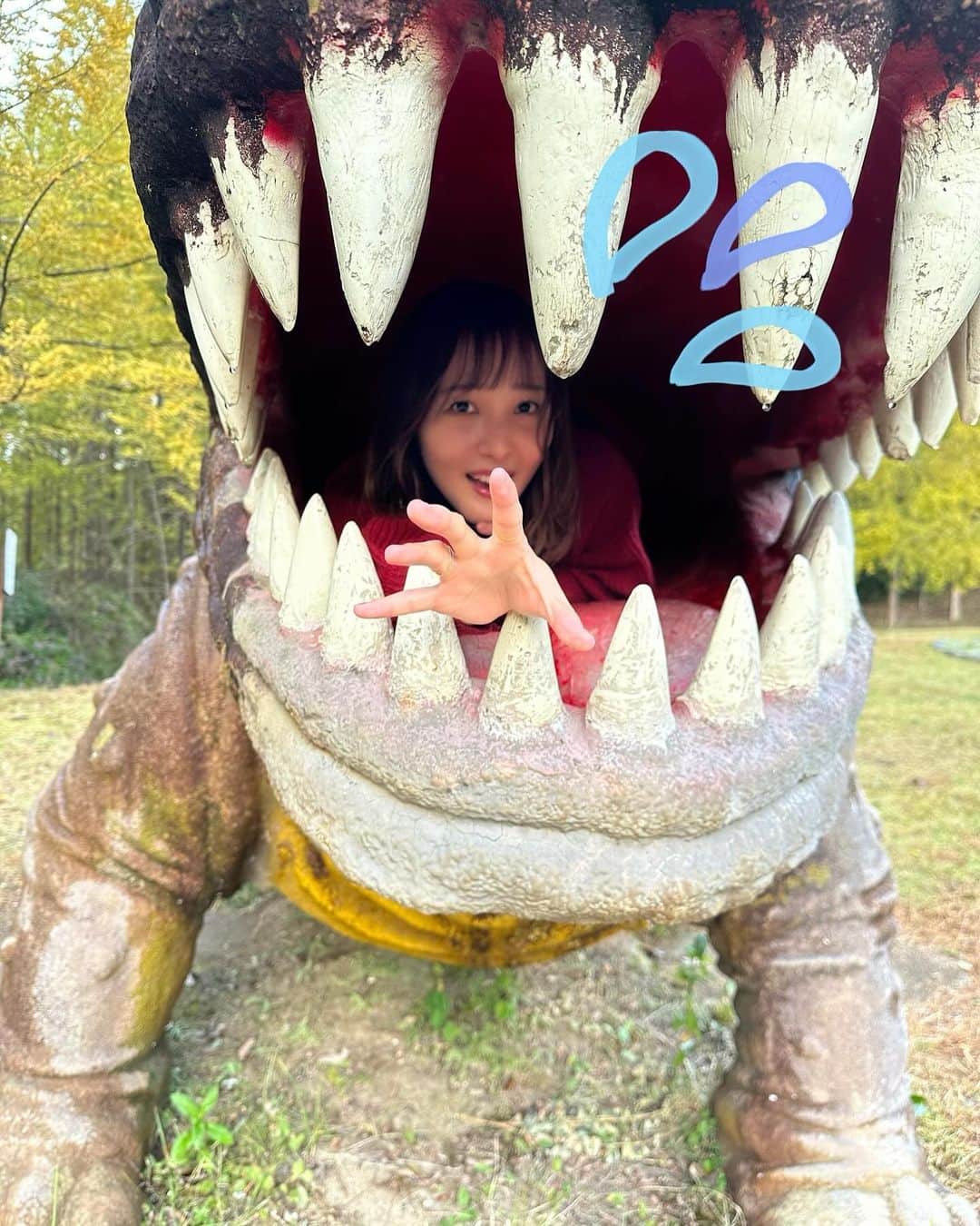 長久友紀さんのインスタグラム写真 - (長久友紀Instagram)「改めてになりますが、 香川県三木町の「獅子たちの里　三木まんで願。」にお越しくださった皆様、そして遠くから念を届けてくださった皆様、ありがとうございました♪  1月ぶりの香川県の地に降り立ちましたが、今回は念願の三木町巡りができてとっても楽しかったですー！！！  巡った場所は ①なりや本店　讃岐うどん あったかいおうどん食べたんだけどめっちゃちゅるっちゅるで美味しかったー！！  ②三木町庁舎 サインを書かせていただいたり、町長さんから渡邊雄太選手のお話を聞かせていただきました🏀  ③太古の森 メタセコイアの木を初めて見たんですが、まるでジュラシックパークの世界に入ったみたいだった！🦕 行った時も少し色づいてたけど、今はもう紅葉が見頃なのかしら？♡  ④MUCCA 太古の森からすぐのジェラート屋さん🍨 MUCCAミルクといちごミルフィーユのダブルを食べたよ🥛🍓 美味しすぎて写真撮らなきゃって思い出したのは食べてからでした... いちごミルフィーユは甘すぎないから大人向けらしいよ！ いちごミルクもあって、そちらはお子様におすすめらしい♡  ⑤白山神社 ちょうど夕方ごろに行ったんだけど、紅葉も綺麗で夕焼けに照らされた白山神社がめっちゃエモかった(//∀//)  ⑥骨付丸　亀鳥 一鶴に行こうとしたんだけど、めっちゃ並ぶーって聞いて地図で骨付鳥を探して行ったのがここ！！ 親鳥と雛鳥どっちもマネージャーさんと半分こしたよ🐓 もちろんおにぎりもマストで頼んだ！🍙  ⑦21時にアイス 骨付鳥食べた後になんか甘いもの食べたいねーってマネージャーさんと話して、またまた地図で近くのデザート屋さん調べたらここが気になって行ってみた！ ちゃんと撮影スポットもあって、サイズ感もちょうど良かった✨ 限定のパンプキンのアイスにしました(マネージャーさんもそれにしてた)🎃🍨  今回二日間タクシーを貸切していただいたんだけど、そのタクシー運転手の方が香川のうどんにとっても詳しい方で、実はこっそりイベント前にうどんを二軒くらい周って下さいました！ お店ごとに違った良さがあって私もまた香川に行った時はいろんなうどん屋さんハシゴしたいなぁって思いました！  いろんな場所を巡ってみて、沢山の三木町の方ともお会いしたんだけど、皆様とっても温かい素敵な方々ばかりでした…✨ また次こそはいちご狩り体験も出来ますように…🍓♡」11月11日 11時26分 - nagakuyuki