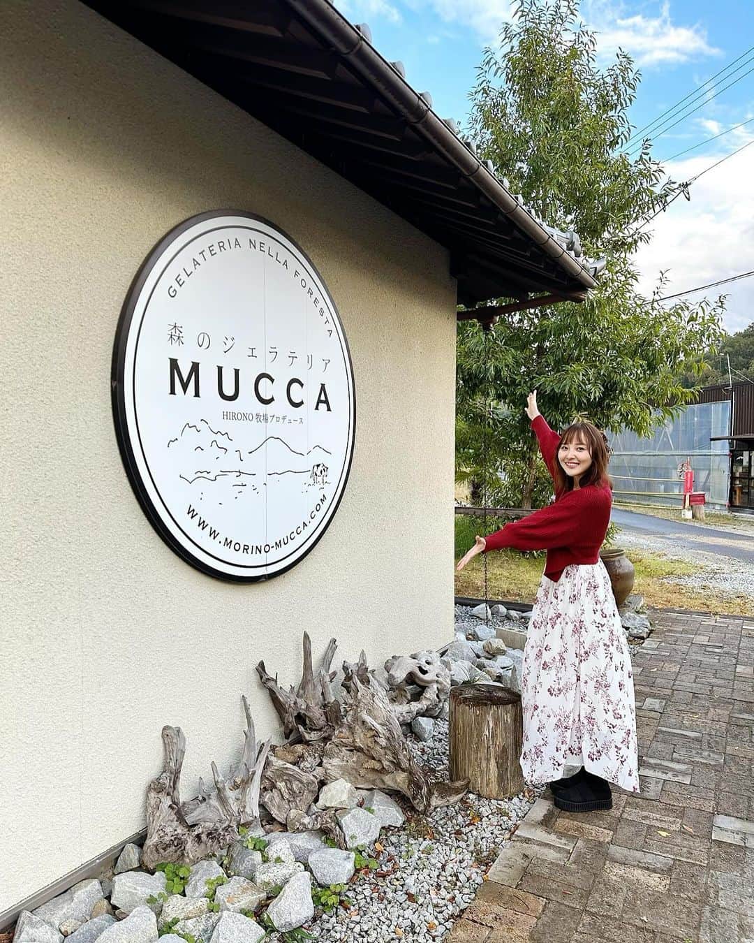 長久友紀さんのインスタグラム写真 - (長久友紀Instagram)「改めてになりますが、 香川県三木町の「獅子たちの里　三木まんで願。」にお越しくださった皆様、そして遠くから念を届けてくださった皆様、ありがとうございました♪  1月ぶりの香川県の地に降り立ちましたが、今回は念願の三木町巡りができてとっても楽しかったですー！！！  巡った場所は ①なりや本店　讃岐うどん あったかいおうどん食べたんだけどめっちゃちゅるっちゅるで美味しかったー！！  ②三木町庁舎 サインを書かせていただいたり、町長さんから渡邊雄太選手のお話を聞かせていただきました🏀  ③太古の森 メタセコイアの木を初めて見たんですが、まるでジュラシックパークの世界に入ったみたいだった！🦕 行った時も少し色づいてたけど、今はもう紅葉が見頃なのかしら？♡  ④MUCCA 太古の森からすぐのジェラート屋さん🍨 MUCCAミルクといちごミルフィーユのダブルを食べたよ🥛🍓 美味しすぎて写真撮らなきゃって思い出したのは食べてからでした... いちごミルフィーユは甘すぎないから大人向けらしいよ！ いちごミルクもあって、そちらはお子様におすすめらしい♡  ⑤白山神社 ちょうど夕方ごろに行ったんだけど、紅葉も綺麗で夕焼けに照らされた白山神社がめっちゃエモかった(//∀//)  ⑥骨付丸　亀鳥 一鶴に行こうとしたんだけど、めっちゃ並ぶーって聞いて地図で骨付鳥を探して行ったのがここ！！ 親鳥と雛鳥どっちもマネージャーさんと半分こしたよ🐓 もちろんおにぎりもマストで頼んだ！🍙  ⑦21時にアイス 骨付鳥食べた後になんか甘いもの食べたいねーってマネージャーさんと話して、またまた地図で近くのデザート屋さん調べたらここが気になって行ってみた！ ちゃんと撮影スポットもあって、サイズ感もちょうど良かった✨ 限定のパンプキンのアイスにしました(マネージャーさんもそれにしてた)🎃🍨  今回二日間タクシーを貸切していただいたんだけど、そのタクシー運転手の方が香川のうどんにとっても詳しい方で、実はこっそりイベント前にうどんを二軒くらい周って下さいました！ お店ごとに違った良さがあって私もまた香川に行った時はいろんなうどん屋さんハシゴしたいなぁって思いました！  いろんな場所を巡ってみて、沢山の三木町の方ともお会いしたんだけど、皆様とっても温かい素敵な方々ばかりでした…✨ また次こそはいちご狩り体験も出来ますように…🍓♡」11月11日 11時26分 - nagakuyuki