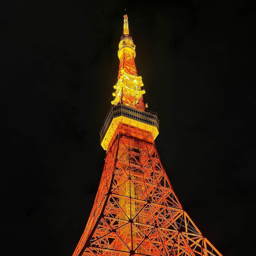 蘂さんのインスタグラム写真 - (蘂Instagram)「10月にあるピンクにライトアップされた東京タワー見たかったなぁ」11月11日 11時31分 - zui____chan