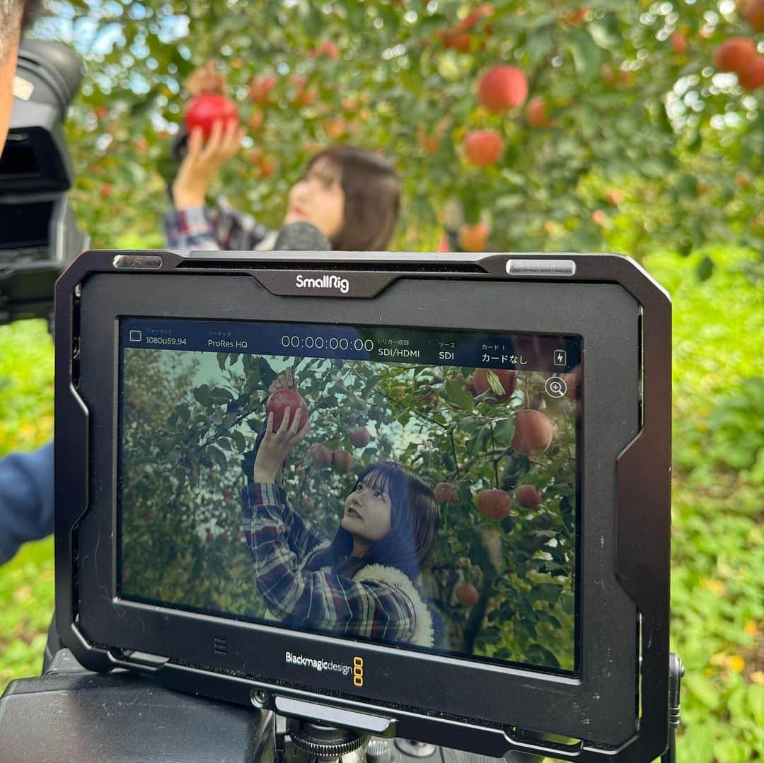 渡邉歩咲のインスタグラム：「幸作りんご園さん @kousakuringoen  でりんご狩りをさせていただきました☺️🍎  りんごを切らなくてもどのくらい蜜が入ってるか園主さんが当てていらっしゃってすごかったです😳✨ 甘さも酸味も食感も完璧でおいしすぎてびっくりしました🍎✨ ぜひ皆様も行ってみてください🔅」