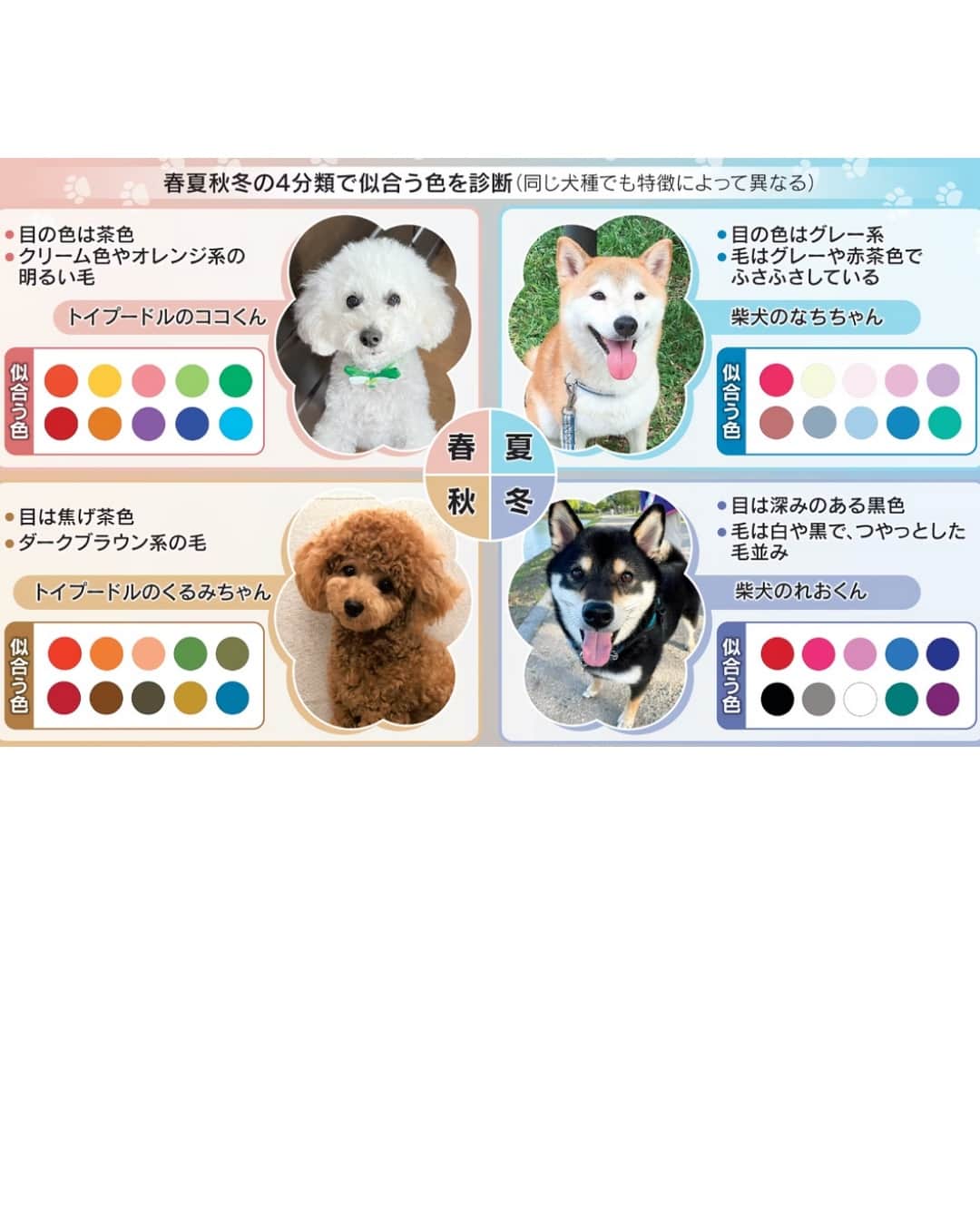 日本経済新聞社さんのインスタグラム写真 - (日本経済新聞社Instagram)「人間向けのサービスが次々とイヌに広がるなか、パーソナルカラー診断まで登場しました。毛や目の色などで似合う色を分析し、春夏秋冬の4タイプに分類。服やイヌ用のグッズなどを買う際に参考になると、人気を集めています。あなたの愛犬はどのタイプ?⁠ ⁠ 詳細はプロフィールの linkin.bio/nikkei をタップ。⁠ 投稿一覧からコンテンツをご覧になれます。⁠→⁠@nikkei⁠ ⁠ #犬 #dog #わんこ #柴犬 #愛犬 #いぬ #イヌ #カラー診断 #パーソナル #日経電子版」11月11日 12時00分 - nikkei
