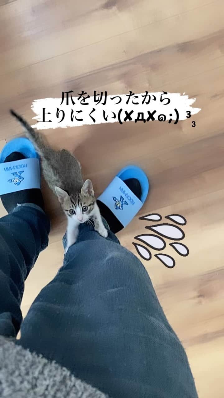 ドラゴン・キッドのインスタグラム