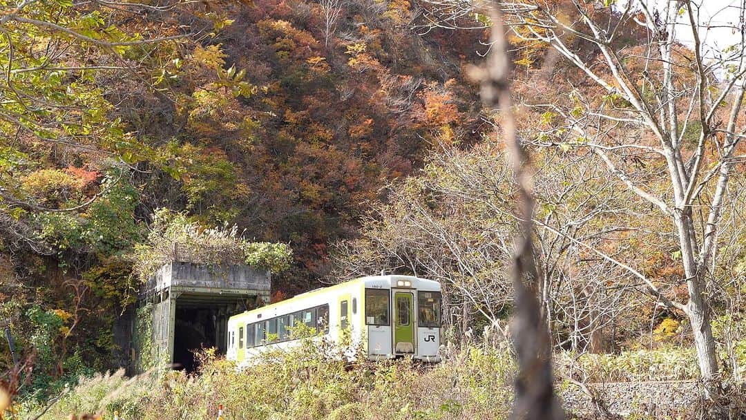 山人さんのインスタグラム写真 - (山人Instagram)「4日目はこちらの場所を…！ ほっとゆだ駅周辺です✨ 今日、明日はほっとゆだ駅前でイベントがあります😊  2023.11.01撮影  #私の山人  #山人 #西和賀 #岩手 #岩手県 #温泉 #いくぜ東北 #東北グルメ巡り #東北グルメ #東北旅行 #温泉旅行 # 田舎暮らし #日本の風景 #自然が好き　 #風景写真を撮るのが好きな人と繋がりたい #田舎の風景 #紅葉 #もみじ #芸術の秋 #錦 #紅葉スポット #落葉 #北上線 #JR #JR東日本 #湯ったりまつり2023 #地元の鉄道を応援しよう✊」11月11日 12時28分 - yamado.official