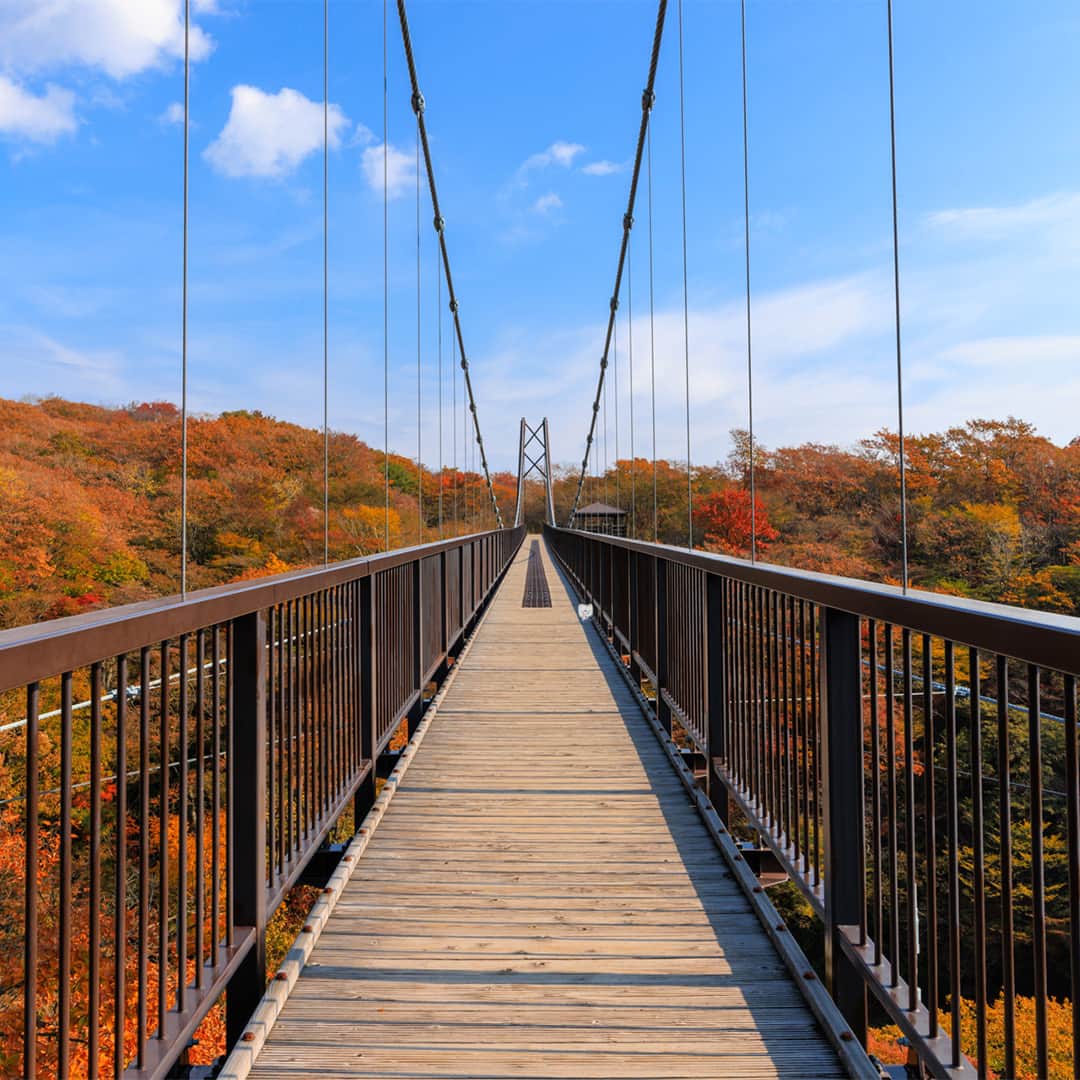 日本生命保険相互会社のインスタグラム：「#ニャッセイを探せ！  紅葉シーズンですね🍂 #ニャッセイ が栃木県の #つつじ吊り橋 にお出かけしたみたいです🐱  見つけた方はコメント欄に「🐱」を送って、教えてくださいね♪  【写真募集📸】 掲載する写真を募集しています！ ニャッセイに来てほしい紅葉スポットの写真を、#おいでよニャッセイ をつけて投稿してくださいね🐱」