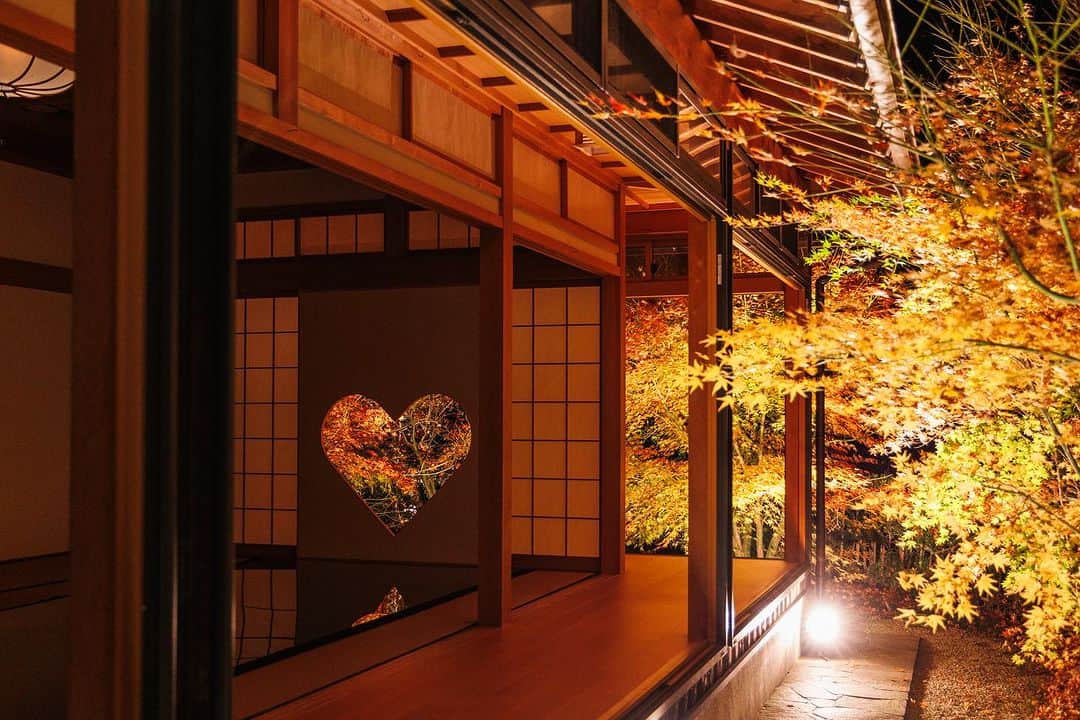 京都いいとこフォトさんのインスタグラム写真 - (京都いいとこフォトInstagram)「. 正寿院の夜間特別拝観 紅葉ライトアップ【観紅会】 . 今年の秋のライトアップは今までとはひと味違った、 水鏡のような景色もお楽しみいただけます。 ※写真は昨年の試験点灯時のものです。 . This year’s autumn illumination will be a little different than before. You can also enjoy the scenery like a water mirror. ※The photo is from last year’s test lighting. . Location : @shojuin #正寿院 Photo : @kohei713 . 【日程】  2023年11月18日(土)・19日(日)・20日(月)・23日(木祝)・24日(金)・25日(土) . 【時間】  17:30～20:30まで ※20:00最終受付 . 詳細は @shojuin よりご確認ください。 Please check @shojuin for details.」11月11日 12時36分 - kyoto_iitoko