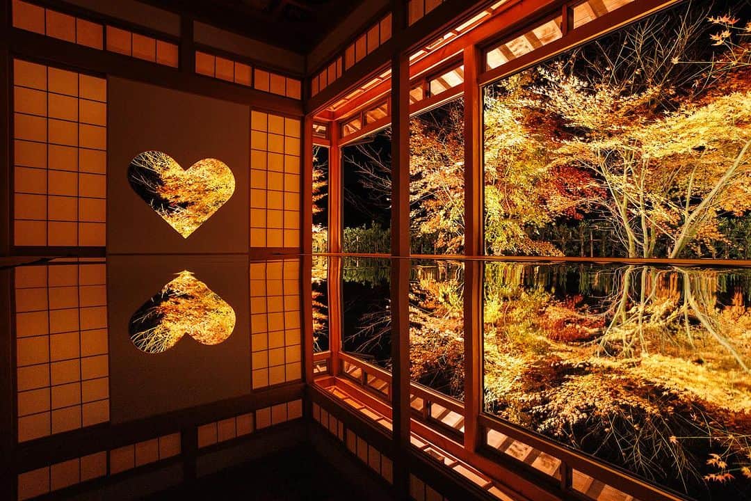 京都いいとこフォトのインスタグラム：「. 正寿院の夜間特別拝観 紅葉ライトアップ【観紅会】 . 今年の秋のライトアップは今までとはひと味違った、 水鏡のような景色もお楽しみいただけます。 ※写真は昨年の試験点灯時のものです。 . This year’s autumn illumination will be a little different than before. You can also enjoy the scenery like a water mirror. ※The photo is from last year’s test lighting. . Location : @shojuin #正寿院 Photo : @kohei713 . 【日程】  2023年11月18日(土)・19日(日)・20日(月)・23日(木祝)・24日(金)・25日(土) . 【時間】  17:30～20:30まで ※20:00最終受付 . 詳細は @shojuin よりご確認ください。 Please check @shojuin for details.」