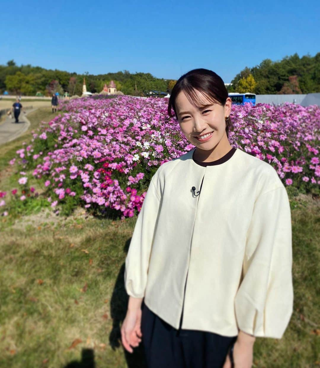 島津咲苗さんのインスタグラム写真 - (島津咲苗Instagram)「秋らしさを感じる写真を今のうちに。 愛・地球博記念公園のコスモスの花は とても大きくて、見応えがあります😌  だんだん冬の空気に変わってきた気がするな〜 . . . #まぶしそう #モリコロパーク #ジブリパーク #ドデスカ #イマネタ #メーテレ #取材 #島津咲苗 #メーテレアナウンサー #こすもす #コスモス #秋桜 #コスモス畑」11月11日 13時34分 - sanae_shimazu