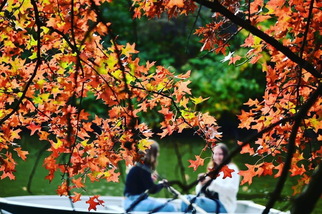ふかしのインスタグラム：「Autumn in New York  #nyc  #autumn #autumnleaves  #autumninnewyork  #centralpark  #ニューヨーク #🗽 #紅葉 #セントラルパーク」