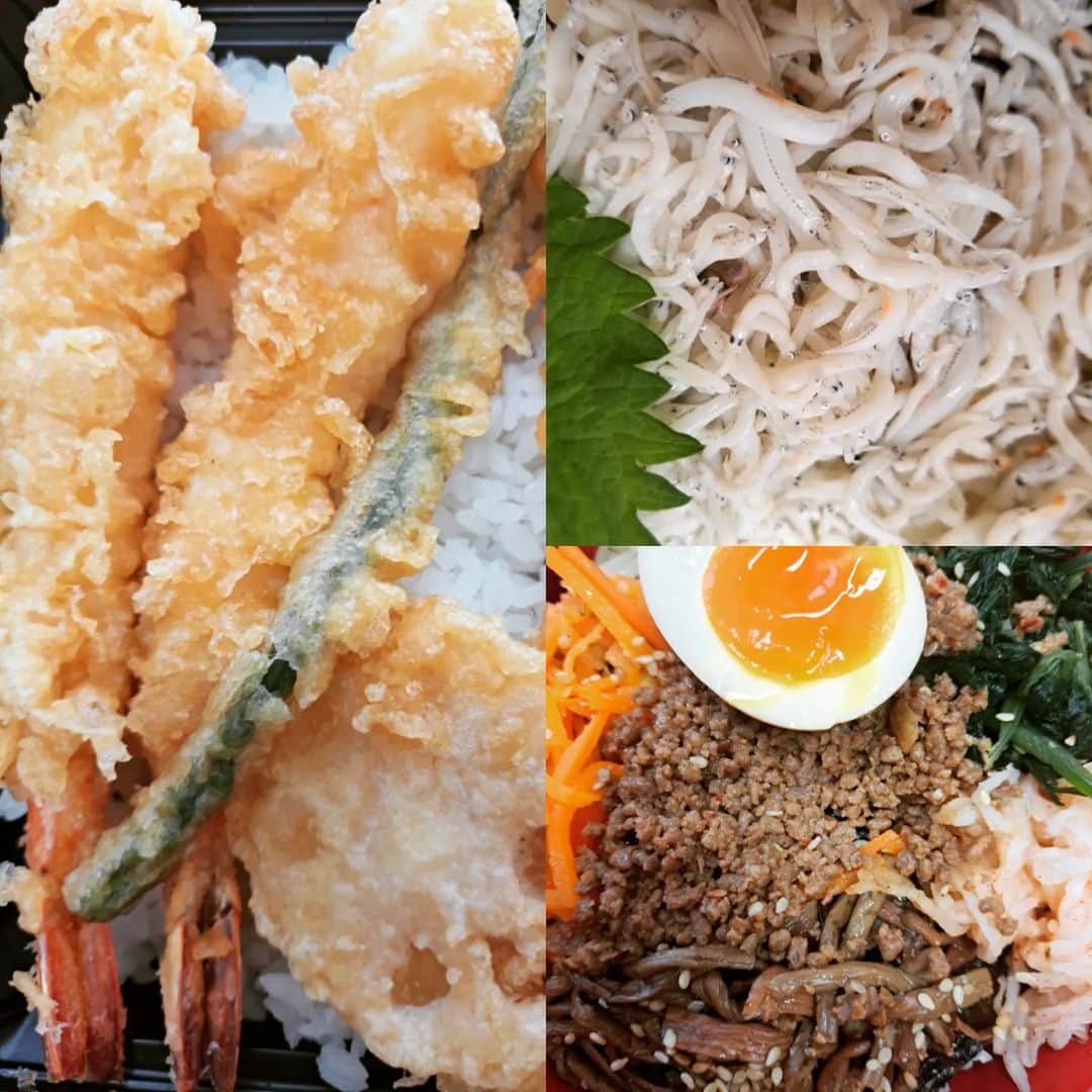 谷口キヨコのインスタグラム：「これが私たちのランチです～😆私は生まれてはじめて食べたしらす丼🍜」