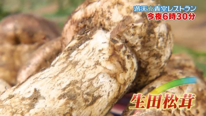 日本テレビ「満天☆青空レストラン」のインスタグラム：「ぜひご覧ください🍄  #満天青空レストラン #青空レストラン #青空 #青レス #満天 #宮川大輔 #大ちゃん #うまい　#レシピ #日テレ #日本テレビ #長野県 #松川町 #ロケ #松茸 #生田松茸 #鬼越トマホーク #サッポロ #サッポロで乾杯」