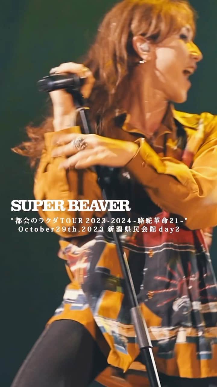 SUPERBEAVERのインスタグラム：「【#SUPERBEAVER】  都会のラクダ TOUR 2023-2024～駱駝革命21～  2023年10月29日(日) 新潟県民会館-Day2-  スペシャルムービー公開！📹  (^•ω•^)〃 {本日は松山公演day1！！宜しくお願い致します！！」