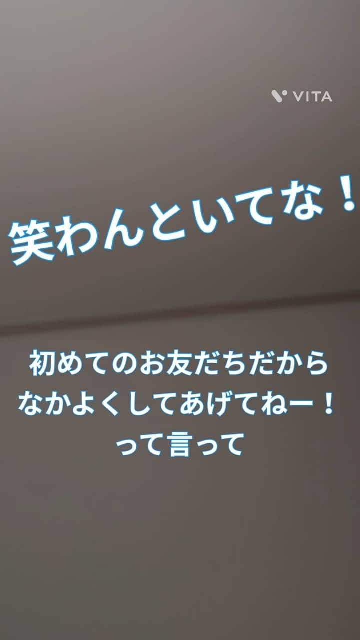 Miki Hirookaのインスタグラム：「ジュッティのお話しシリーズ  〜ポロロ編〜  えっとー、 なんの話？笑  #ジュッティのお話しシリーズ #第二弾 #ポロロ編 #支離滅裂とはこのこと笑 #だれか話まとめてくれる人いませんか？笑 #3才7ヶ月 #寝る前の #お話ししてーやと思いきや #お話しするから聞いててな #て言われます #まあ長いこと #何個話ありますか？て #はよ寝てよ笑」