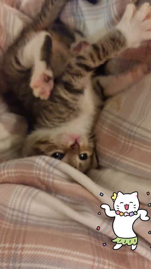 高口里純のインスタグラム