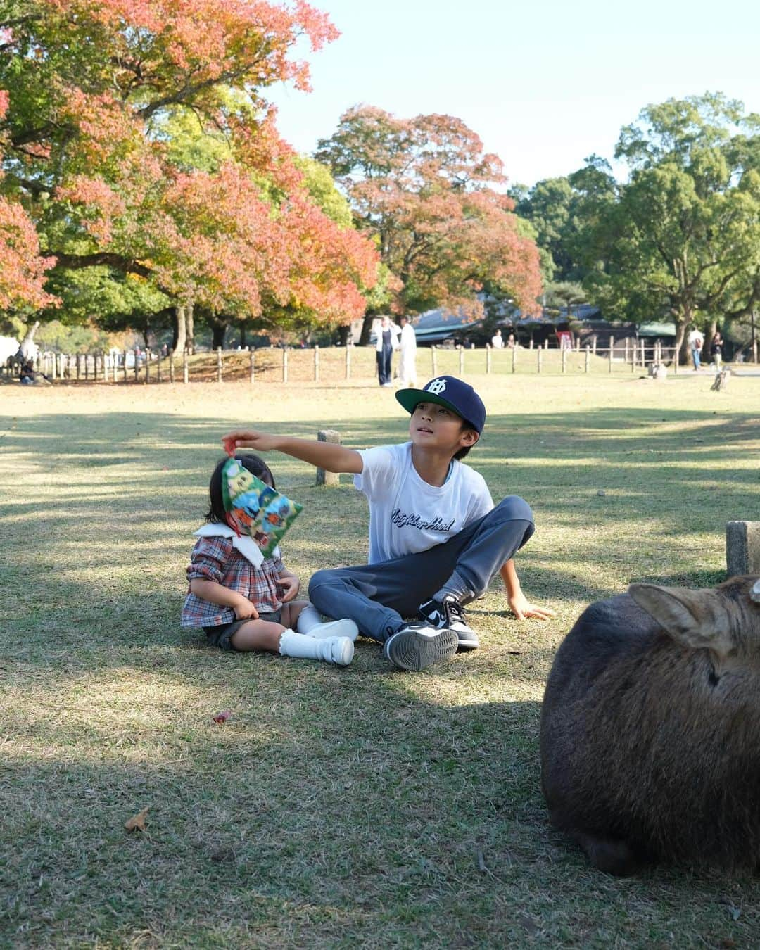 奥田順子さんのインスタグラム写真 - (奥田順子Instagram)「🦌さんを見に公園へ。  #1歳4ヶ月#子連れ奈良#奈良#HIANDキャップ」11月11日 15時56分 - okuda_junko