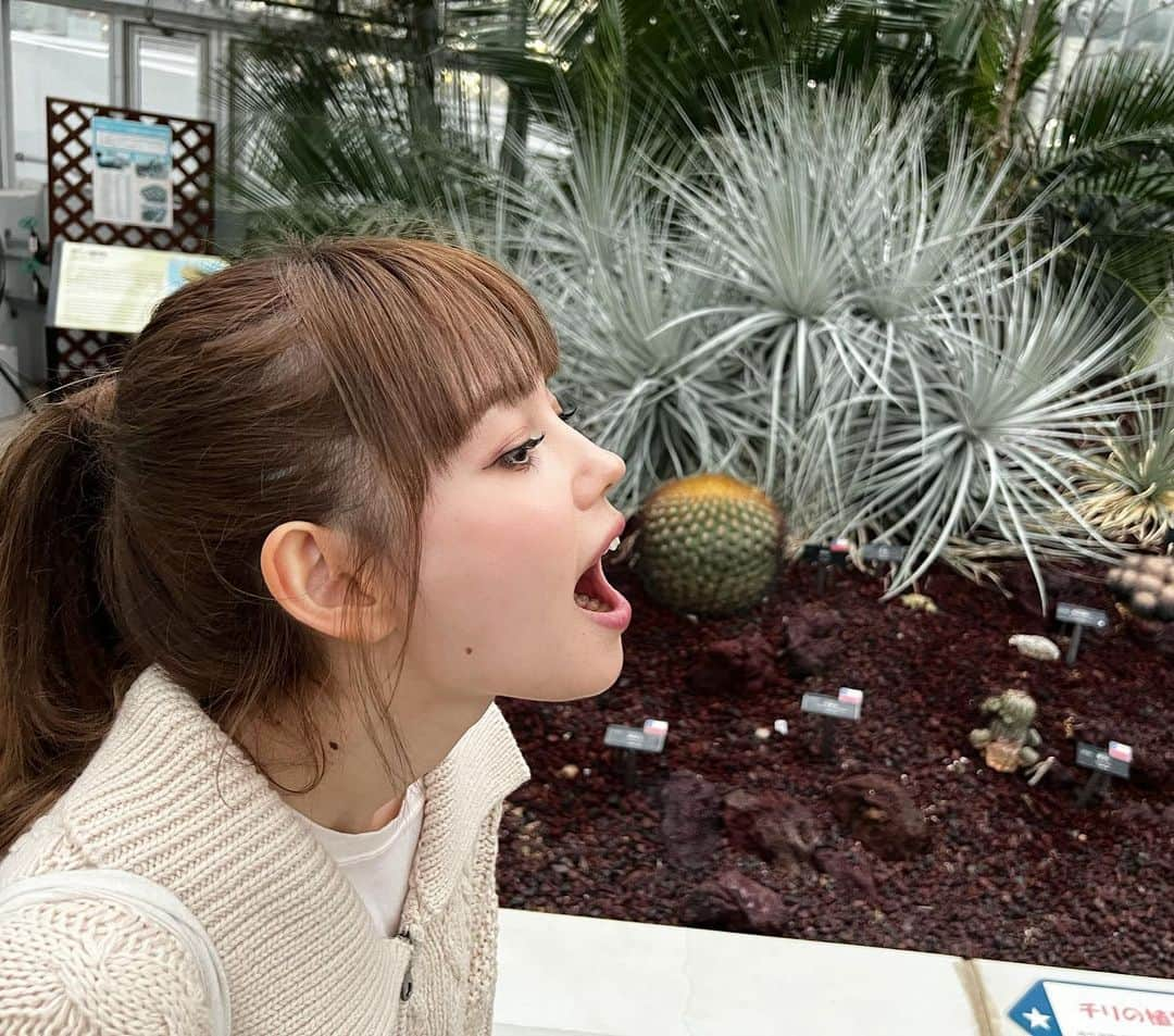 愛花さんのインスタグラム写真 - (愛花Instagram)「昨日はキングオージャーの撮影終わりに植物園に行ってきました〜😽🫶 雨に濡れた秋の薔薇たちがとっても綺麗でした💐♡  明日は　#キングオージャー　第36 話　ヒメノのお見合いのお話です！ 様々なキャラクターの様々な一面が見れますよ〜！お楽しみに💋  #神代植物公園  #メイド長クレオ #神里まつり　さん #インスタグラム始めました #やったー🙌」11月11日 16時04分 - hi_erica_official