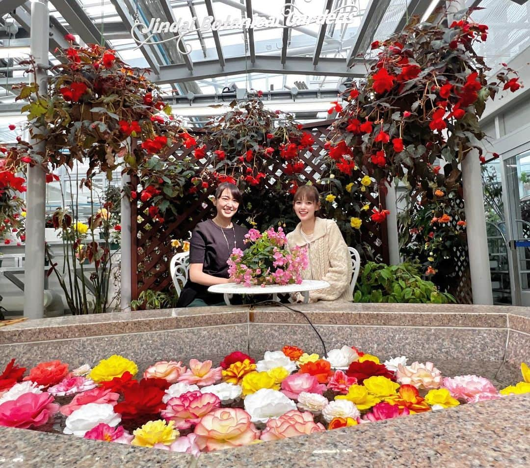 愛花さんのインスタグラム写真 - (愛花Instagram)「昨日はキングオージャーの撮影終わりに植物園に行ってきました〜😽🫶 雨に濡れた秋の薔薇たちがとっても綺麗でした💐♡  明日は　#キングオージャー　第36 話　ヒメノのお見合いのお話です！ 様々なキャラクターの様々な一面が見れますよ〜！お楽しみに💋  #神代植物公園  #メイド長クレオ #神里まつり　さん #インスタグラム始めました #やったー🙌」11月11日 16時04分 - hi_erica_official