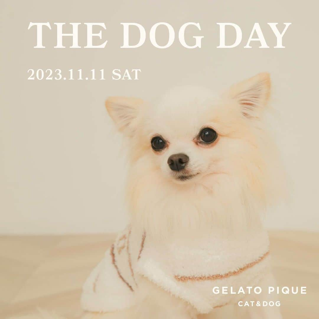 ジェラートピケさんのインスタグラム写真 - (ジェラートピケInstagram)「【RECOMMEND】  ＼GELATO PIQUE CAT&DOG／  11.11は犬の日！ もこもこであたたかなウェア、ハウスやベッドなど、肌触りのよいアイテムを愛犬へのギフトにいかがでしょう。  ★一部店舗取扱 ・表参道ヒルズ店 ・ルミネエスト新宿店 ・アトレ恵比寿店 ･玉川高島屋S･C店 ・東京ソラマチ店 ・みなとみらい東急スクエア店 ・ラゾーナ川崎プラザ店 ・グランツリー武蔵小杉店 ・イオンレイクタウン kaze店 ・柏高島屋ステーションモールS館店 ・ららぽーとTOKYO-BAY店 ・ららぽーと愛知東郷店 ・名古屋MOZO店 ・ルクア大阪店 ・ららぽーとEXPO CITY店 ・ららぽーと堺店 ・西宮ガーデンズ店 ・ららぽーと福岡店 ・アミュプラザ鹿児島店  #gelatopique #ジェラートピケ #gelatopique_cat_dog #ジェラートピケキャットドッグ #dogwear #ドッグウェア #dog #ドッグ  @gelatopique_official @usagionline」11月11日 16時06分 - gelatopique_official