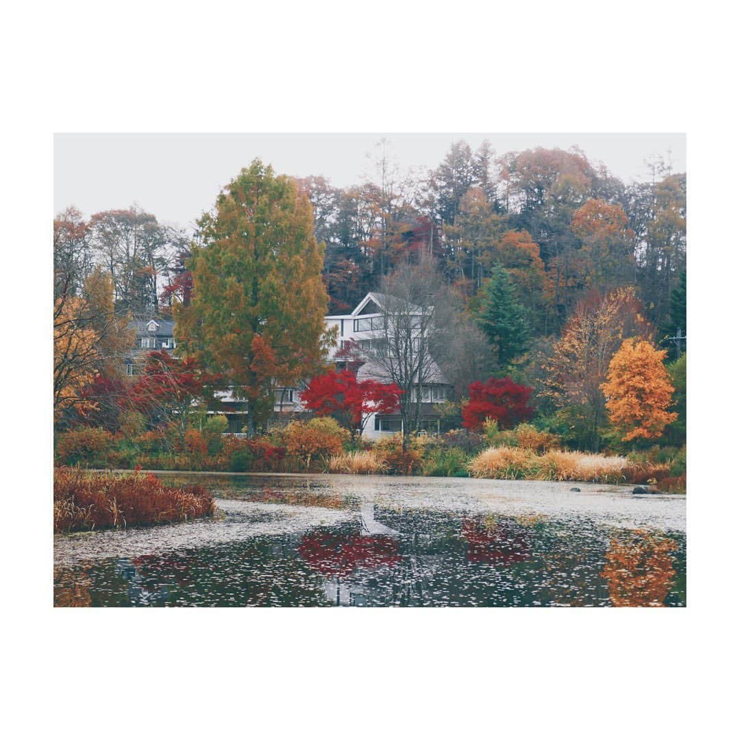 あゆかのインスタグラム：「#🍁」