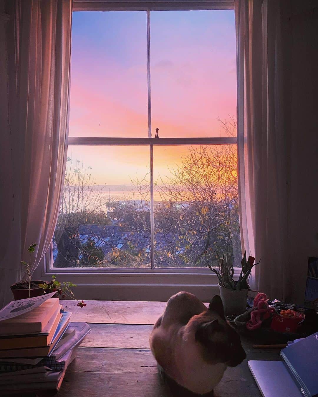 Tea and sittingのインスタグラム：「I’ve had a great week away but I was also very happy to get home last night and then wake up to this beautiful pink sunrise this morning 💖…I’m sorting out my jigsaw and calendar orders which came in while I was away, and am in the process of putting a new Patreon post together with loads of photos as well as trying to concoct my newsletter…it’s a bit late this month, I know 🙈…An exciting new thing has come out of my recent trip so once I’ve updated my lovely subscribers I’ll share more excitement on here too! ✨」