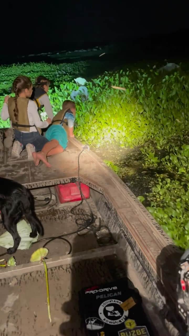 Earth Picsのインスタグラム：「🎥 @_footballfinn_ boy grabs baby gator 🐊 “Finn (shown in video) is on gator control, Alligator season is design just like every other season, to help maintain population, disease, and for new growth.”」