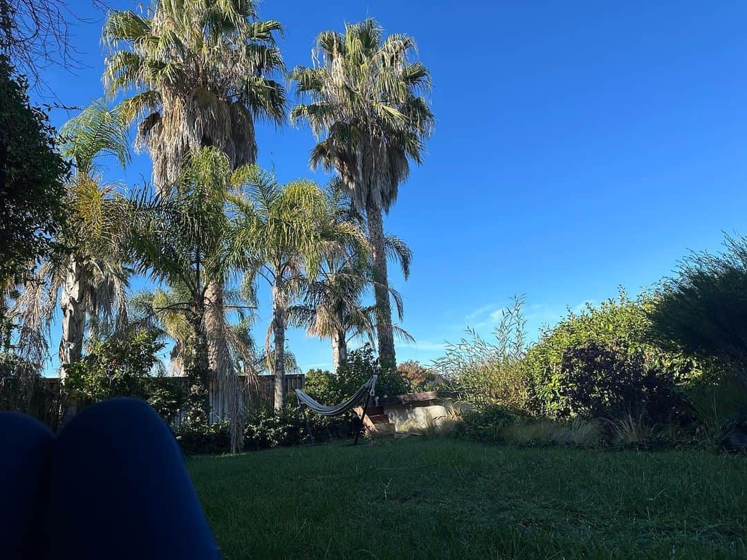 福田淳子さんのインスタグラム写真 - (福田淳子Instagram)「2019年の12月ぶりのアメリカ。4年ぶり？ カリフォルニアの空の青さは変わってないけれど友人宅はアップグレードされてました。キッチンがリフォームされて、庭にジャグジーが設置され、ハイテクのマッサージチェアが鎮座。  おうちライフのさらなる向上。パンデミックを経てのQOLの底上げが半端ない。ジャグジーは24時間入れて、そのエネルギーは屋根上のソーラーパネルで作ってるらしい。天気がいいカリフォルニアらしい循環。  今年はアメリカ内でいろいろ移動予定です。  #junjunJourney2023」11月12日 2時31分 - junjunfukuda