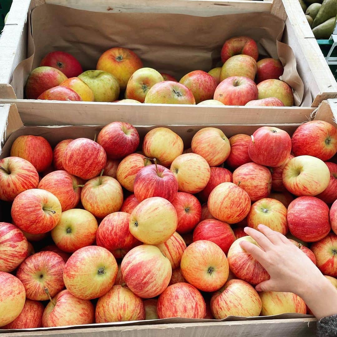 Les sens cielさんのインスタグラム写真 - (Les sens cielInstagram)「海外のりんごは子供の手のひらサイズでかわいいです🍎 保育園ではりんごを1個おやつで持って行ったりします。 りんごのケーキでも作ろうかな〜と思う今日この頃🍎」11月12日 2時44分 - lessensciel.recette