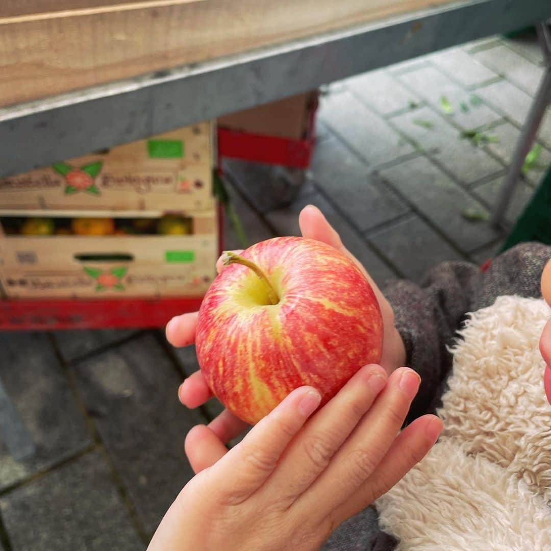 Les sens cielさんのインスタグラム写真 - (Les sens cielInstagram)「海外のりんごは子供の手のひらサイズでかわいいです🍎 保育園ではりんごを1個おやつで持って行ったりします。 りんごのケーキでも作ろうかな〜と思う今日この頃🍎」11月12日 2時44分 - lessensciel.recette