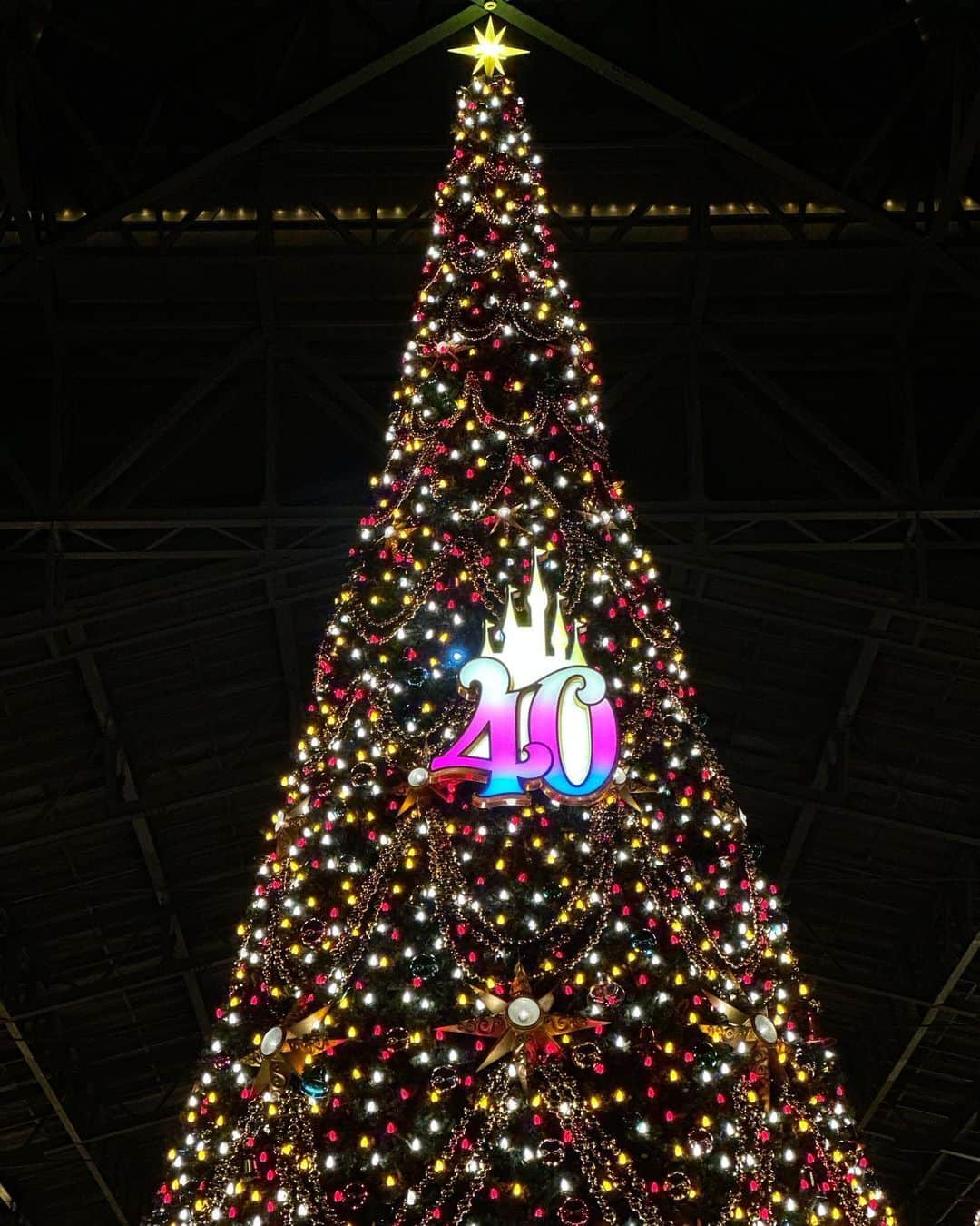 吉橋柚花さんのインスタグラム写真 - (吉橋柚花Instagram)「姉とクリスマスディズニーしてきました🎄❤︎  #disneyland」11月11日 18時33分 - _yuzukoi