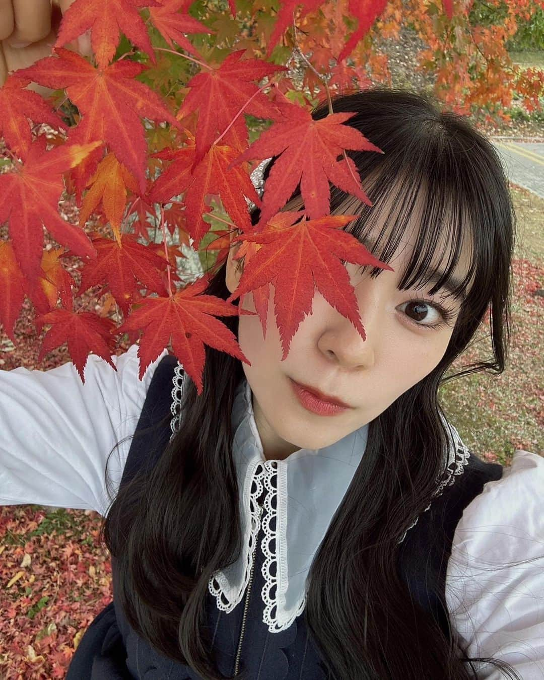 坂井仁香さんのインスタグラム写真 - (坂井仁香Instagram)「🍁  まっか。  #とき宣#坂井仁香#ひとちゃん#超とき宣#超ときめき宣伝部#紅葉」11月11日 18時52分 - hitoka_sakai_official