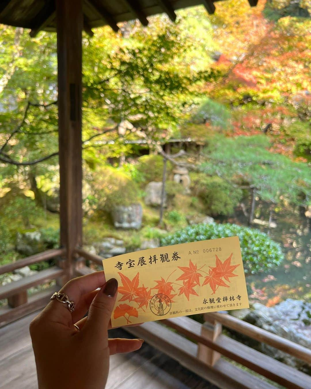 石黒美帆さんのインスタグラム写真 - (石黒美帆Instagram)「🍁 ⁡ まだ早いかなと思っていたけど 京都は少しずつ紅葉始まってました！ まだあと1ヶ月くらいは楽しめそう♡ ⁡ ⁡ もけもけガーデでちょうど良い気温でした🐒 cardigan#fbyrosso denim#redcardtokyo  ⁡ ⁡」11月11日 18時57分 - miho_ishiguro