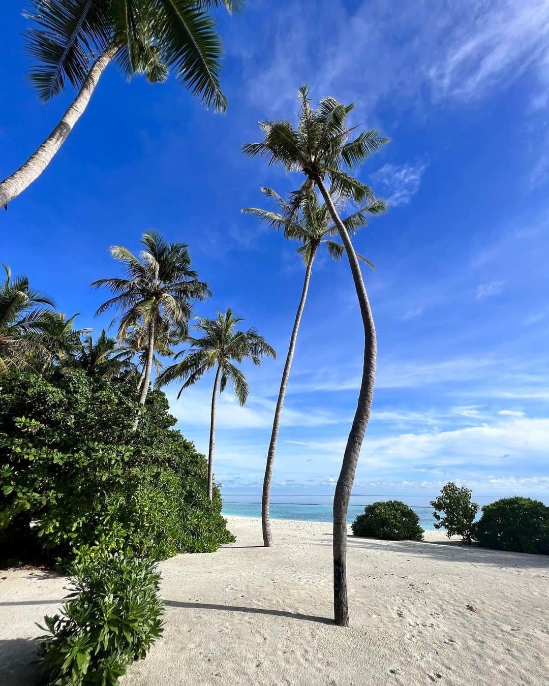 Zanna Van Dijkさんのインスタグラム写真 - (Zanna Van DijkInstagram)「Maldives photo dump & TIPS 🇲🇻 Tag your travel buddy & hit save if you plan on visiting the Maldives one day! ♥️  📍 Stay: @avanimaldives. (ad) A newly opened luxury resort located in Baa Atoll - a UNESCO Biosphere Reserve known for its marine life! The hotel itself is LUSH and the house reef is incredible, it would be an ideal place to learn to dive.  🌊 Do: There’s so much to do in the Maldives. You can snorkel, scuba dive, go on a sunset dolphin cruise, take a cooking class, visit uninhabited islands, go to the spa, paddle board, kite-surf, kayak, ride jet skis, take a yoga class, and of course - relax in the sunshine!  🥦 Eat: The Maldives is known for its fresh local seafood but the resorts cater for all dietary requirements. There’s always plenty of veggie and vegan options on the menu, and the chefs are able to modify dishes to suit your needs.   ✨My top three tips:  1️⃣ If you’re staying at a resort, try to book an all inclusive or full board package as food can be very expensive.  2️⃣ It’s a tropical country and it can rain at any time, so be prepared to not have pure sunshine every day. However it’s typically just a heavy shower for an hour or so and then will clear up. 3️⃣ Check the luggage allowance for your seaplane provider & be careful not to overpack as they can be strict on it.  If you have any questions - leave them down below 🥰♥️ #themaldives #maldivesresorts #visitmaldives」11月11日 18時59分 - zannavandijk