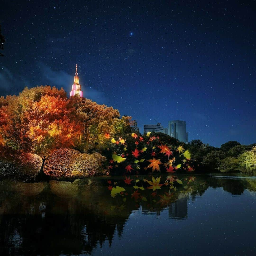 レッツエンジョイ東京さんのインスタグラム写真 - (レッツエンジョイ東京Instagram)「新宿御苑の紅葉ライトアップイベント🍂✨  11/22(水)～12/3(日)までの期間、新宿御苑で「NAKED紅葉の新宿御苑2023」を開催予定！  春の桜イベントに続き、秋は紅葉イベントで再び新宿御苑とネイキッドがコラボレーション。  美しい紅葉とアートが融合した、秋夜の絶景を楽しんでみて😊  🔸新宿御苑 📍東京都新宿区内藤町11 🚉新宿御苑前  #レッツエンジョイ東京 #おでかけ #おでかけスポット #東京 #デート #デートスポット #東京観光 #東京イベント #自然 #秋 #autumn #紅葉 #紅葉スポット #紅葉狩り #紅葉見頃 #紅葉シーズン #紅葉ライトアップ #ライトアップイベント #ライトアップ #景色 #日本庭園 #庭園ライトアップ #秋イベント #風景 #絶景 #日本の風景 #さんぽ #散歩 #nakedinc #新宿御苑」11月11日 19時01分 - lets_enjoytokyo