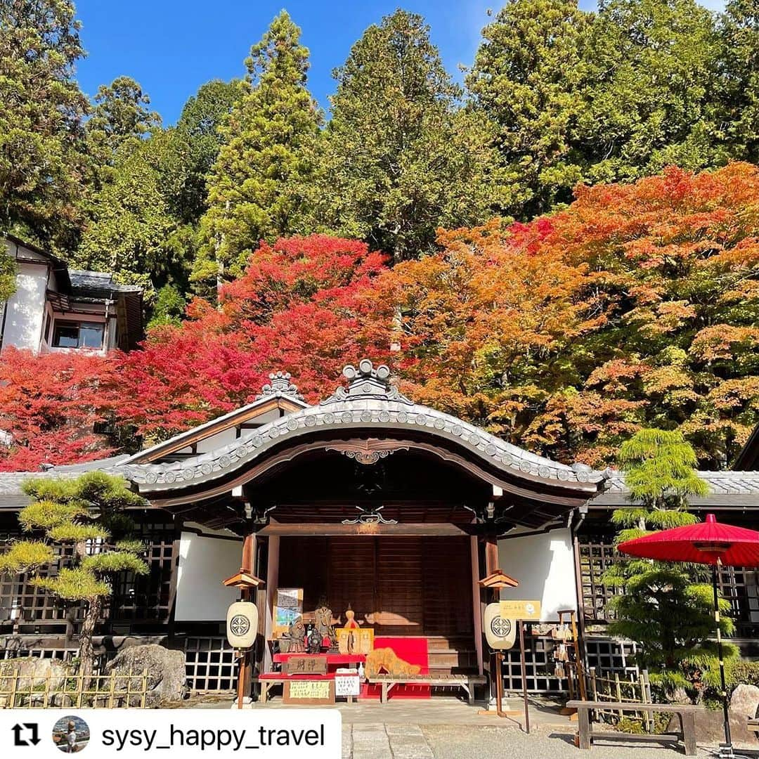 Gero City【下呂市公式アカウント】のインスタグラム：「#Repost @sysy_happy_travel with @use.repost ・・・ 日本 岐阜県 下呂温泉 #japan #japantravel #japantrip #下呂温泉 #下呂市 #下呂 #紅葉 #岐阜観光 #岐阜旅行 #gerostagram」