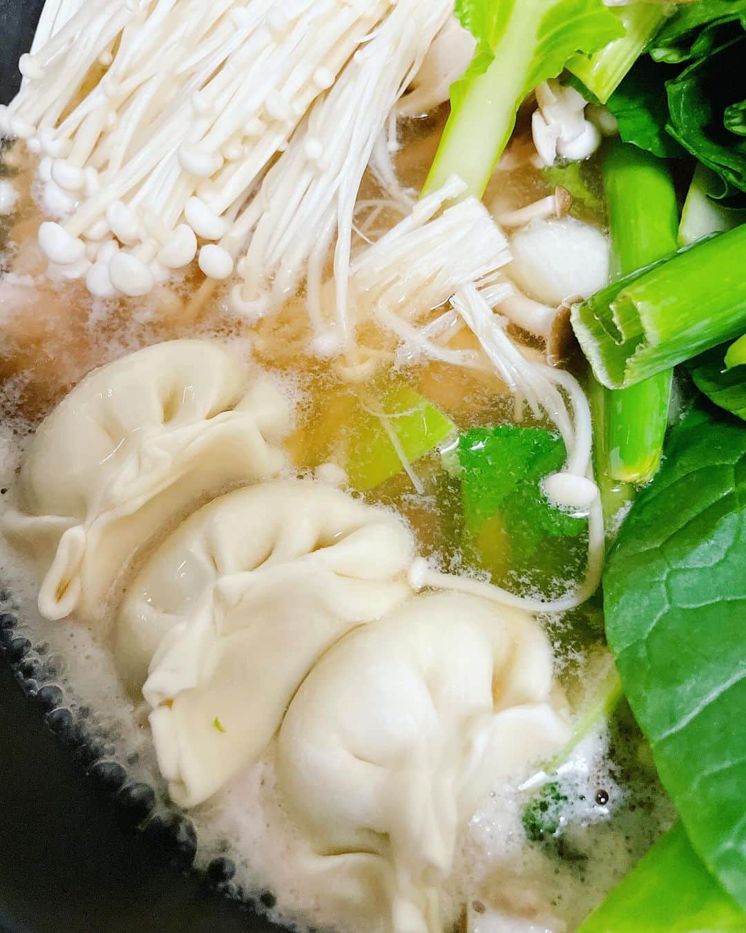 向清太朗のインスタグラム：「餃餃餃〜！ 私餃子に負けないくらい鍋が好きだから、こうやって入れちゃいますホワイト餃子！ 皮が分厚いからこそしっかり煮込む意味がある！ さっぱりお雑煮の餅無しバージョンのような寄せ鍋にしっかりと餅の役割！ そう！餃子は餅でした！  #餃子 #ホワイト餃子 #鍋餃子 #餃子君 #餃子は餅でしたは名言 #餅は餃子でしたよりも名言 #餃子は餃子でしたよりも随分名言 #餅は餅屋の方が名言 #天津向 #川島ねごと #餃餃餃」