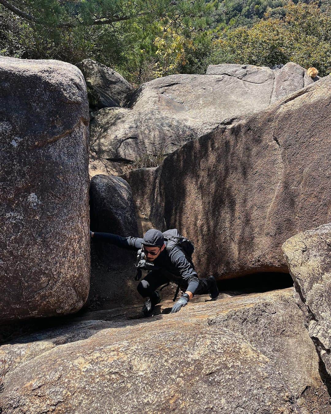 kaisakamotさんのインスタグラム写真 - (kaisakamotInstagram)「2週連続荒地山 #一週飛んで再来週も #趣味にしたい #登山 #荒地山 #六甲山 #hike」11月11日 19時36分 - kaisakamot