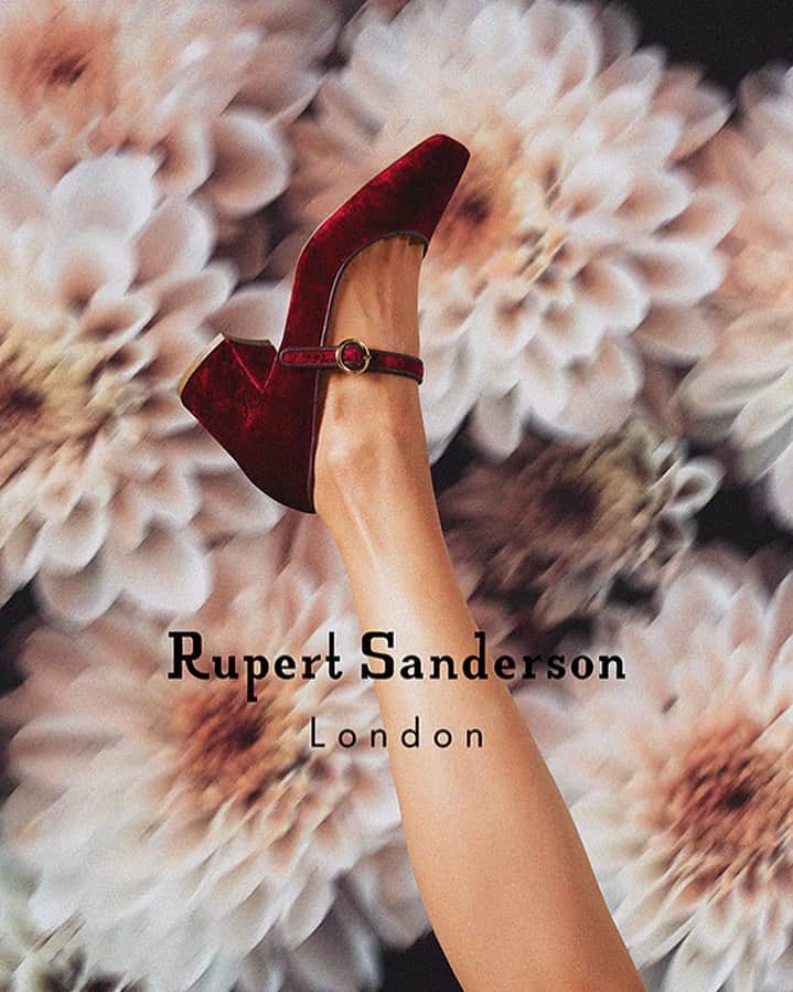 ルパートサンダーソンのインスタグラム：「Introducing Carmen, Rupert Sanderson's take on this season's must-have style: the Mary-Jane. Set on a subtly flared block heel crafted from a combination of luxurious velvet and patent leather, with soft nappa leather piping, the Carmen is sure to accompany you through the current season and seamlessly transition into the next. As we all know, the Mary-Jane remains a timeless classic for all occasions.」