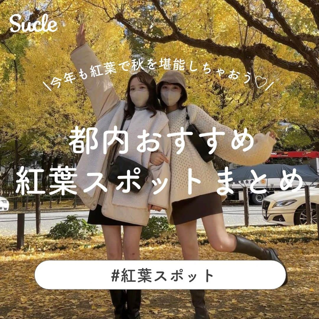 SUCLEのインスタグラム：「#都内おすすめ 紅葉スポット   今回は、おすすめの紅葉スポットをご紹介します🍂🪜 ぜひ、お出かけの際の参考にしてくださいね♡  表紙 @hiroshi__13__olu  2枚目 @__naru07  01.#国営昭和記念公園 @aoao_gram @yu _ii__7 📍東京都立川市緑町3173 🚉立川北駅より徒歩約8分 🕐【有料ゾーン】9:30~16:30（11~2月）  【無料ゾーン】8:30~16:30（11~2月）  02.#新宿御苑 @hiroshi__13__olu @__naru07 📍東京都新宿区内藤町11 🚉 新宿御苑前駅より徒歩約5分 🕐【10/1〜3/14】9:00~16:00（火〜日） 【3/15〜6/30,8/21〜9/30】9:00~17:30（火〜日） 【7/1〜8/20】9:00~18:30（火〜日）  03.#代々木公園 @_nonpiii35 📍東京都渋谷区代々木神園町2 🚉 代々木公園駅より徒歩約3分 🕐常時開園  04.#明治神宮外苑イチョウ並木 @hiroshi__13__olu @__maira.___ 📍東京都港区北青山2 🚉 外苑前駅より徒歩約5分 🕐常時開園  最後 @yu _ii__7  - - - SucleではTikTokやTwitterも更新中！ インスタには載せていない動画もオリジナルで制作しています🥣ᐝ ぜひチェックしてみてくださいね🌛´-  #紅葉 #秋ピクニック #イチョウ並木 #紅葉スポット」